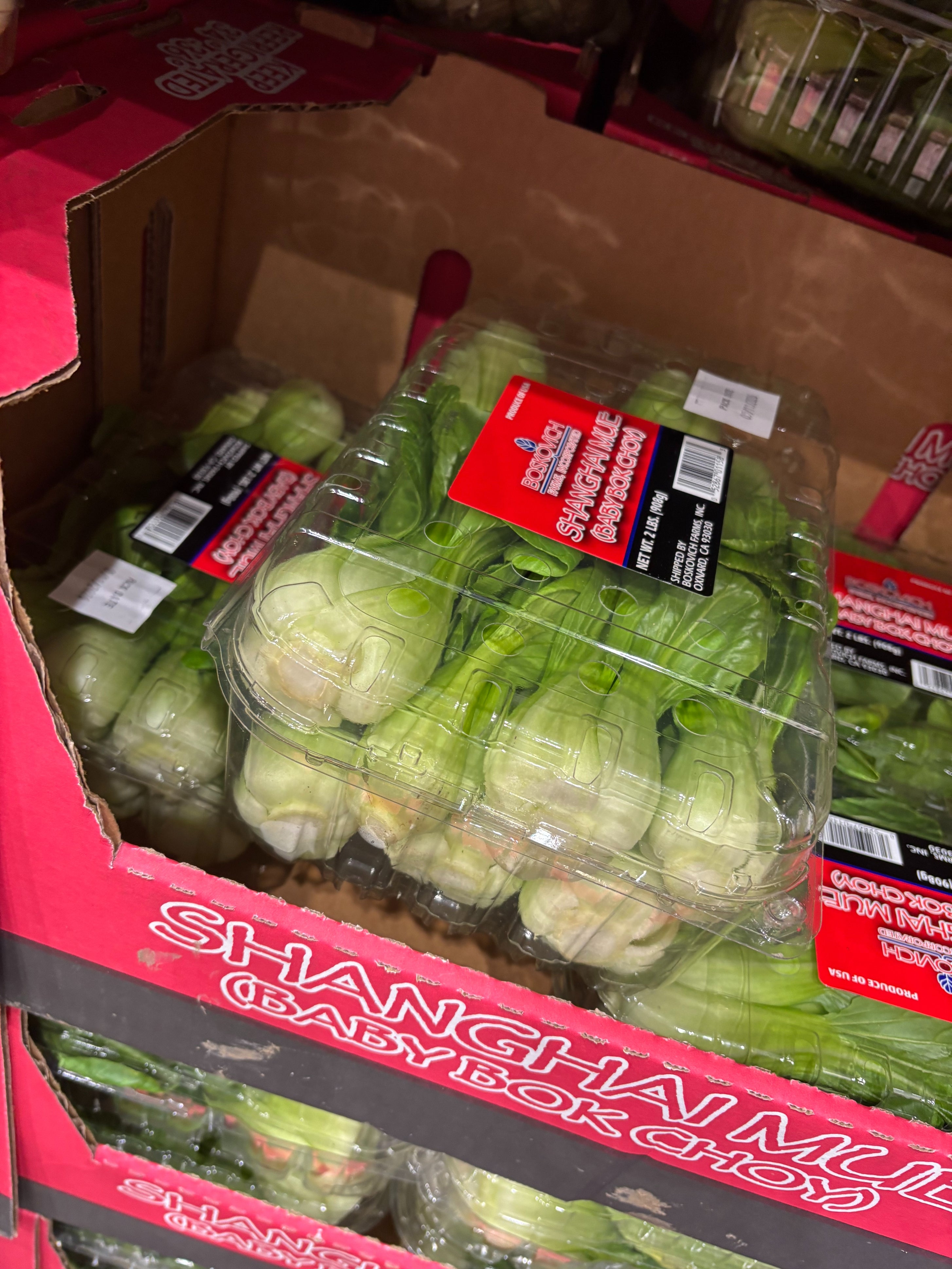 Packaged Shanghai babe  bok choy successful  a supermarket show  box