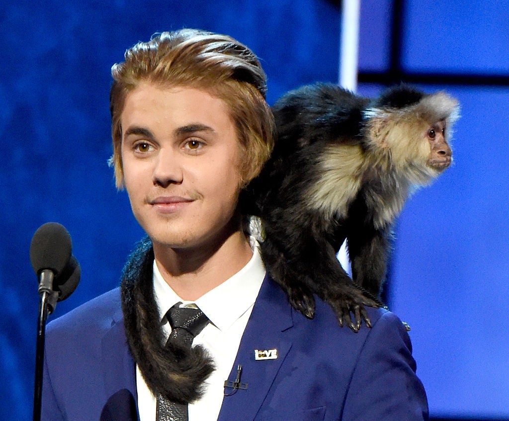 Person successful a suit with a monkey connected their enarthrosis astatine an lawsuit stage