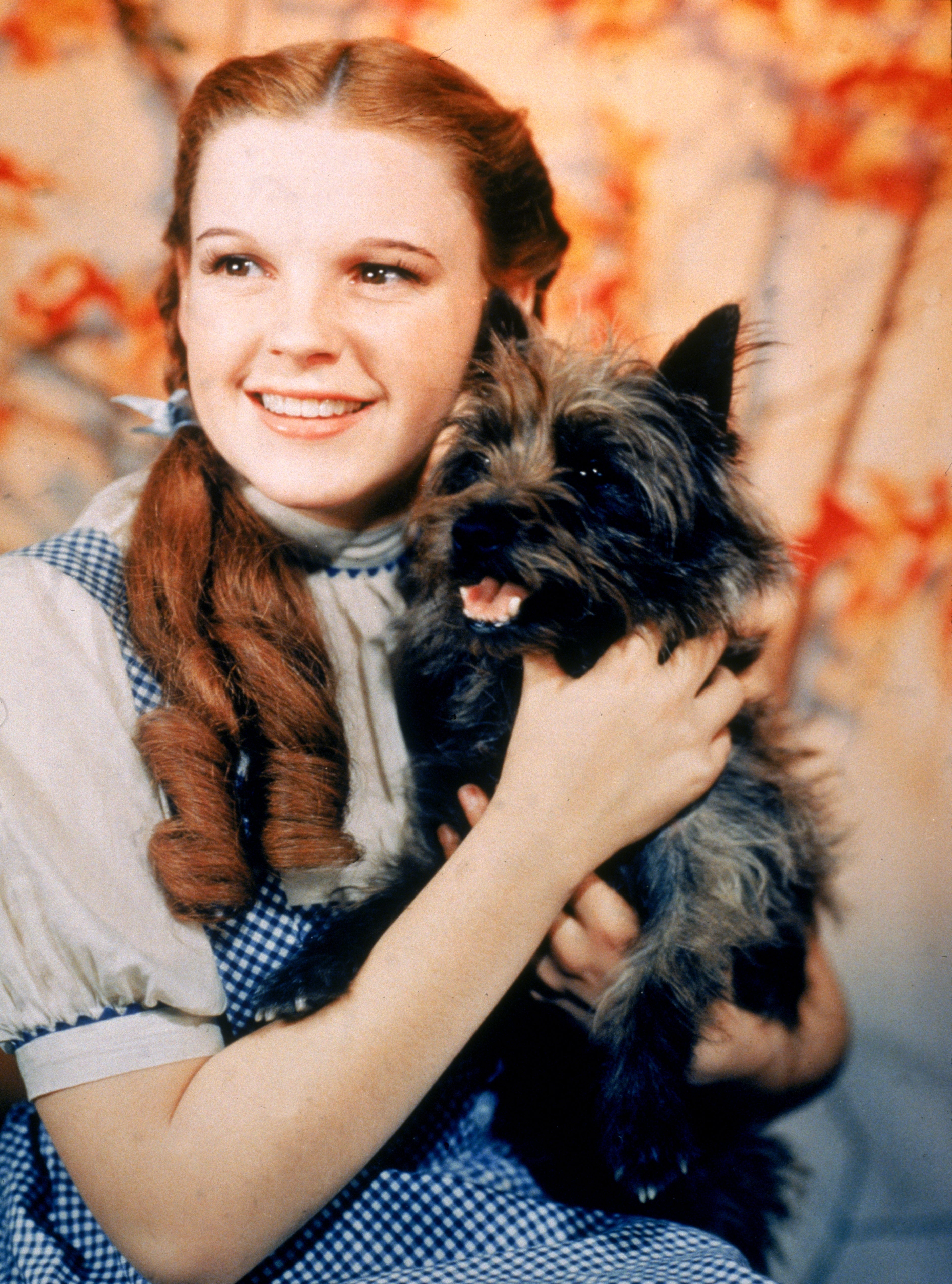 Judy Garland in a checkered dress holding a small, fluffy dog in front of a floral backdrop, smiling