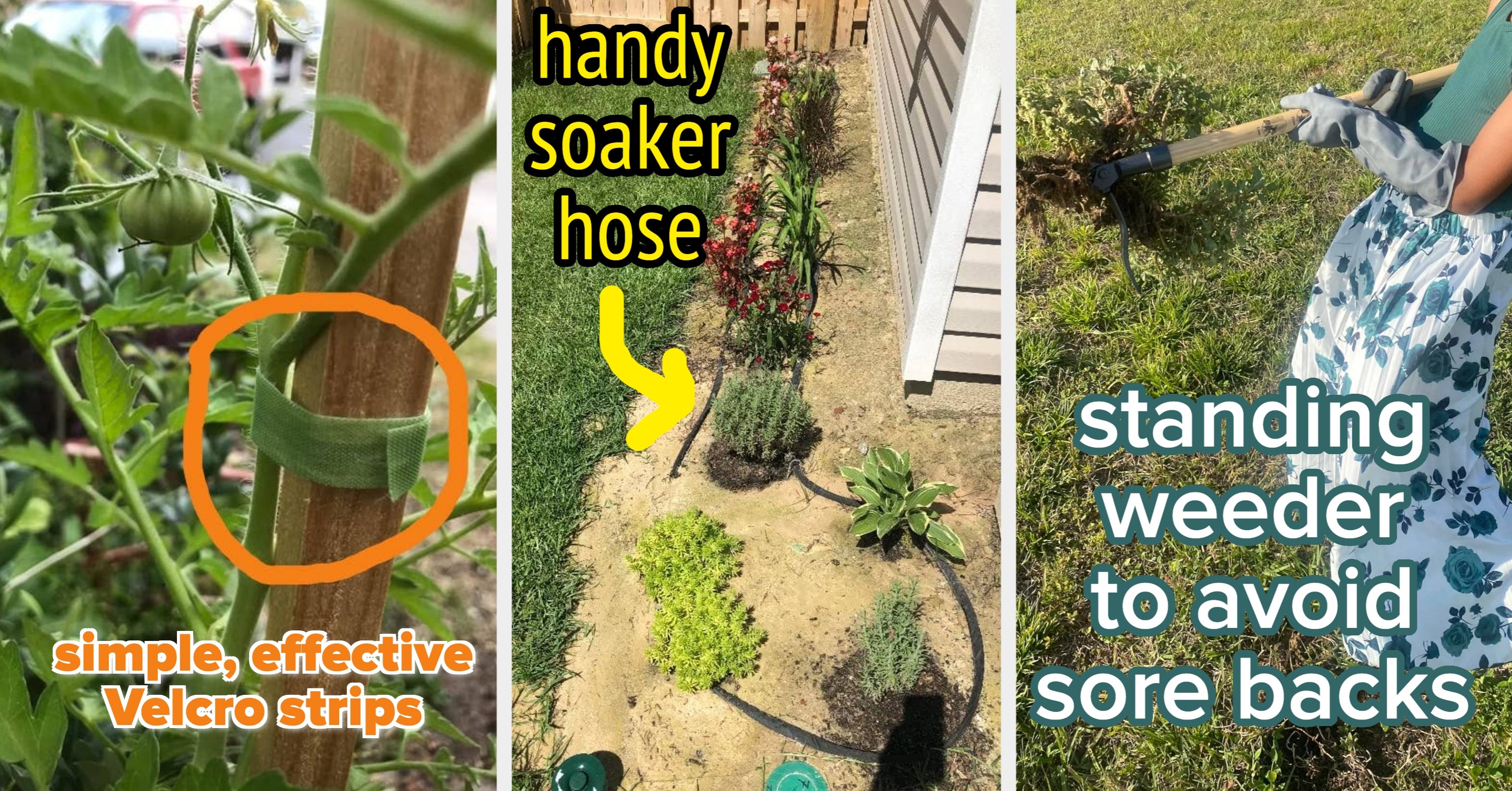 26 Items That Helped Reviewers Transform Their Gardening Skills (and We Have Pics To Prove It)