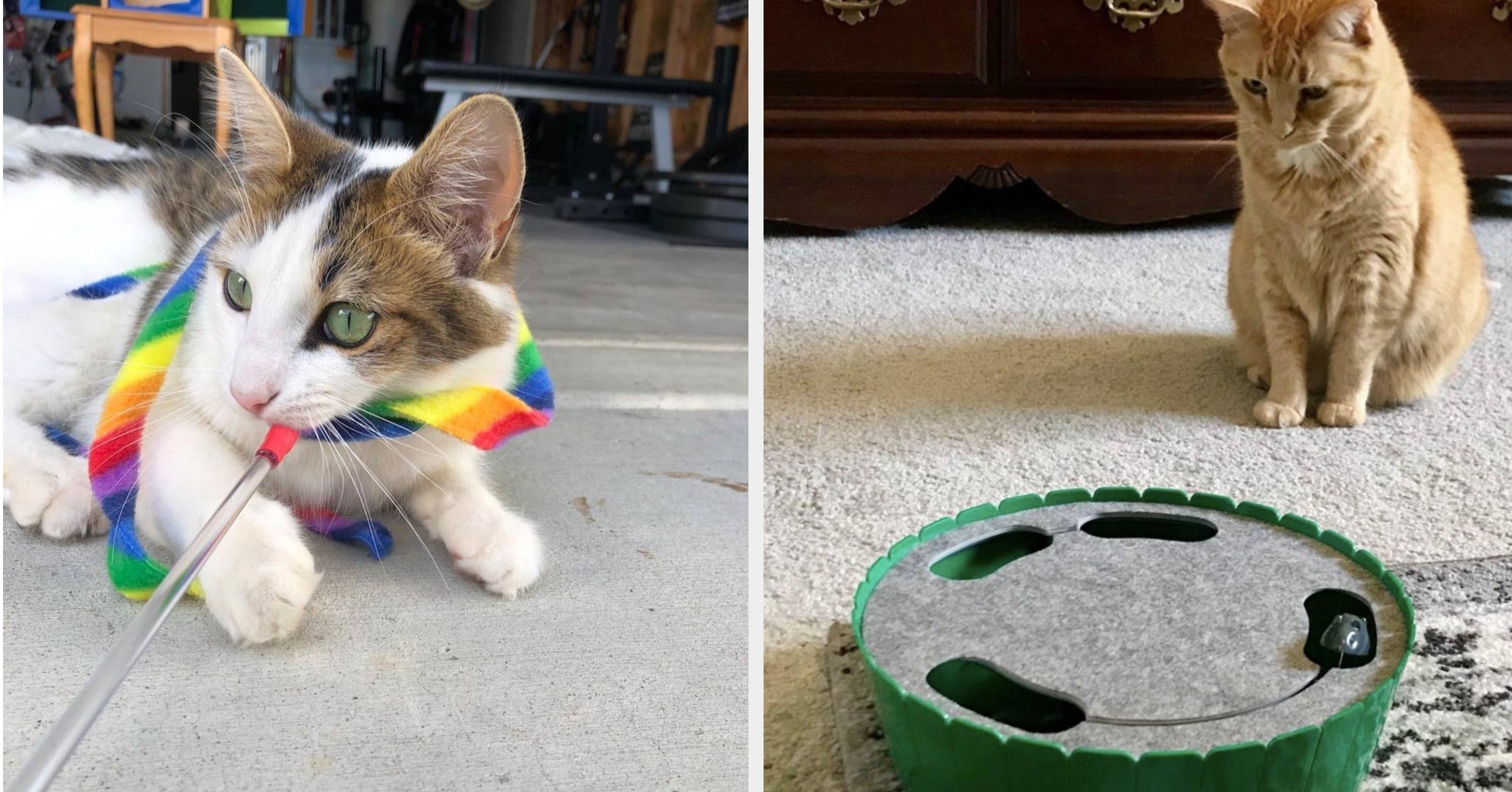 If Your Kitty Can’t Stop Gnawing On Your Shoes And Attacking Your Couches, Give Them These 27 Fun Things Instead