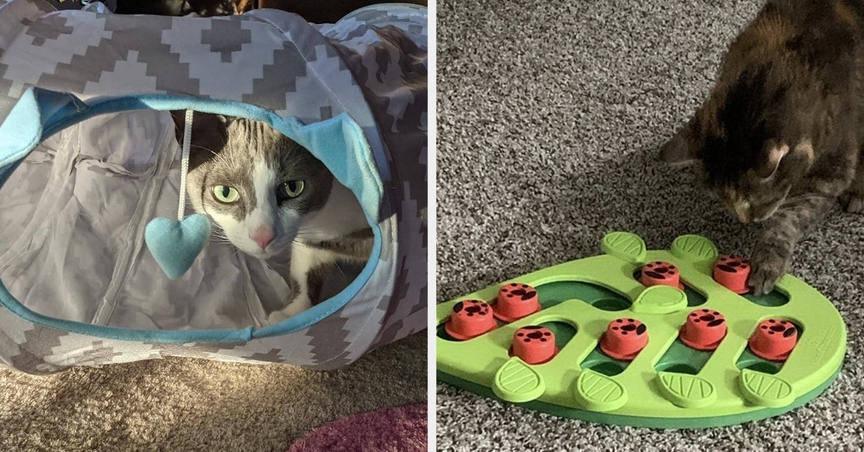 If Your Kitty Can’t Stop Gnawing On Your Shoes And Attacking Your Couches, Give Them These 20 Fun Things Instead