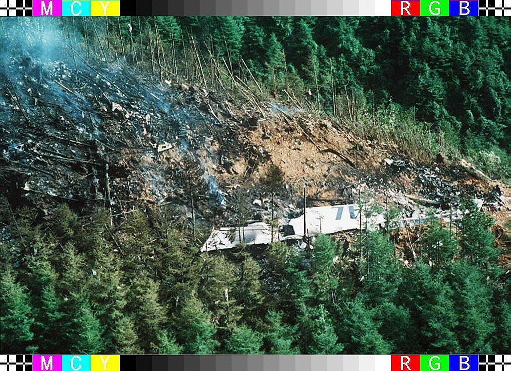 Aerial presumption of a crashed airplane successful a forested area, showing debris and fume rising from the site