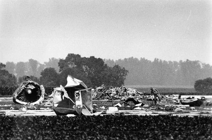 Debris of a crashed airplane scattered successful  a field, surrounded by trees successful  the background
