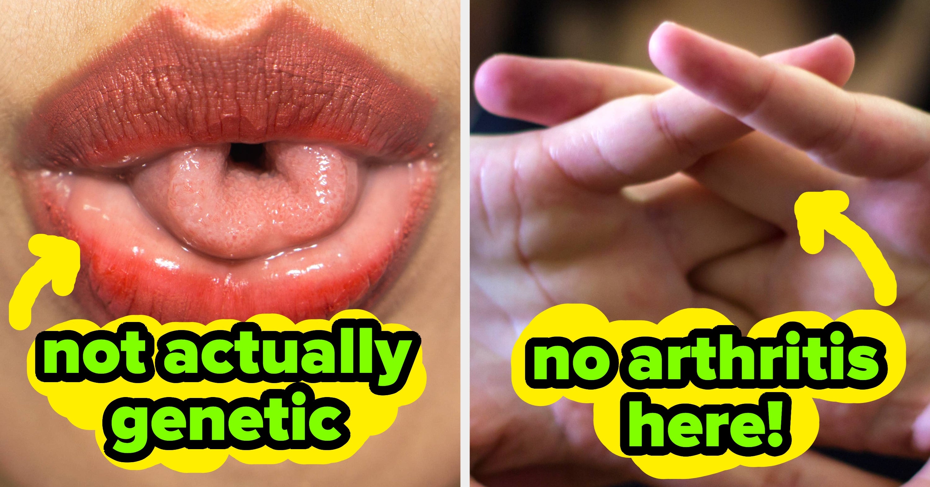 20 Untrue Scientific 