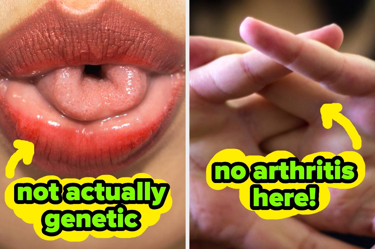 buzzfeed.com - Julia Corrigan - 20 Scientific 'Facts' Most People Still Believe Even Though They Are Completely, Totally False