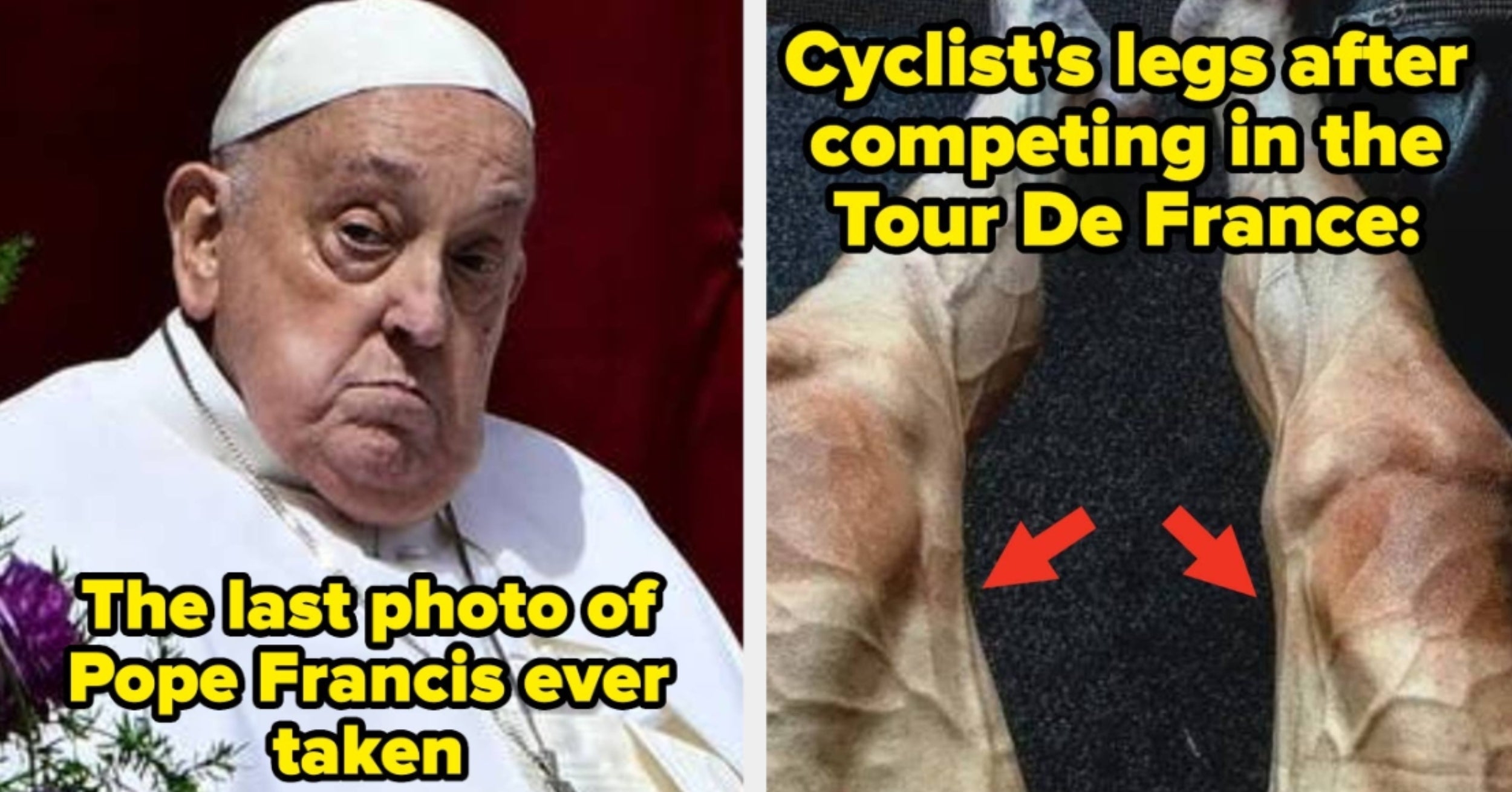 100 Absolutely Mind-Blowing Pictures That Completely, Totally, And Utterly Shattered My Brain This Year And Left Me Staring At My Screen Like An Idiot