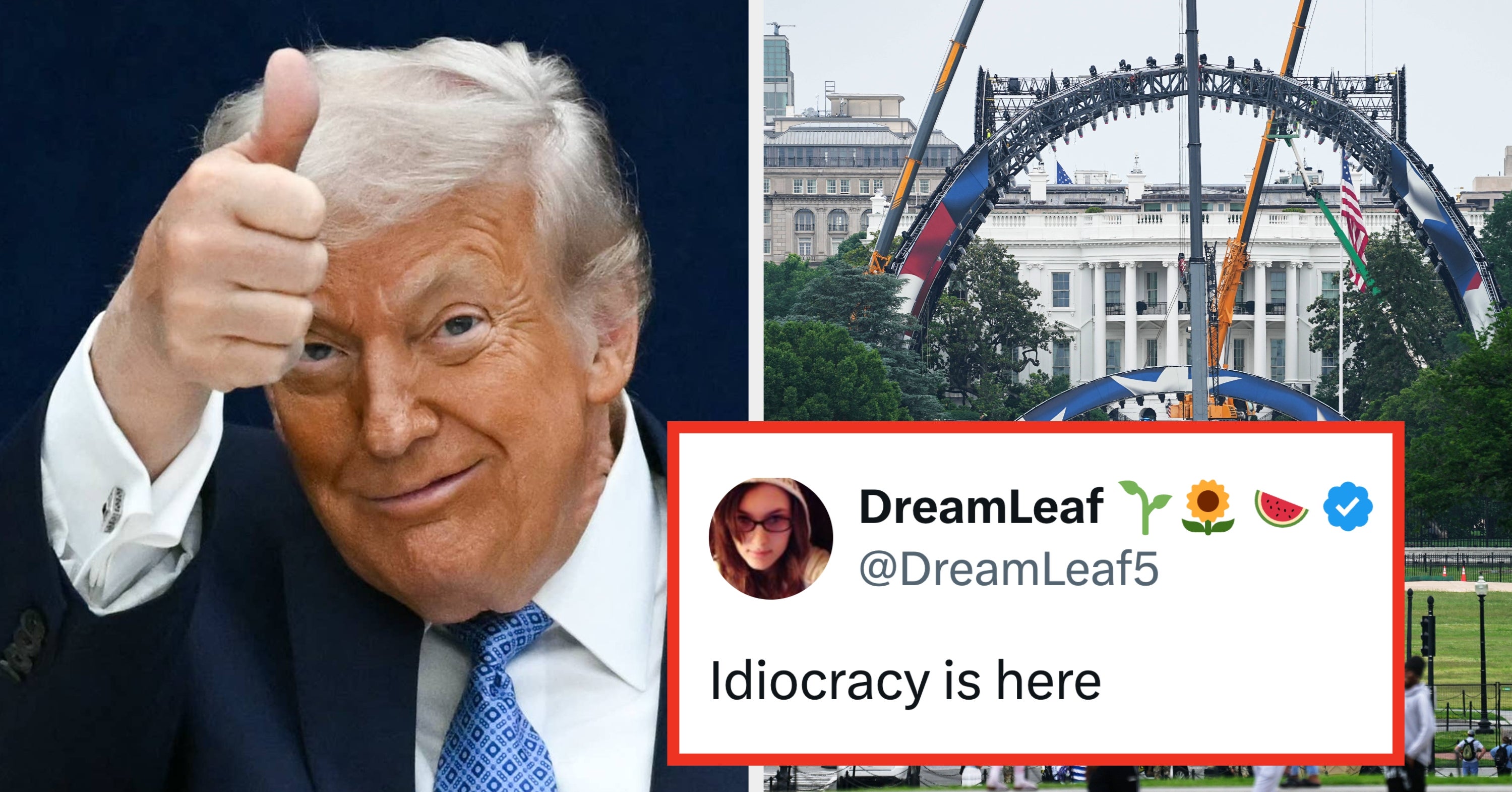 The Internet Is Having A Meltdown Over These New Photos Of A UFC Ring's Construction On The White House Lawn