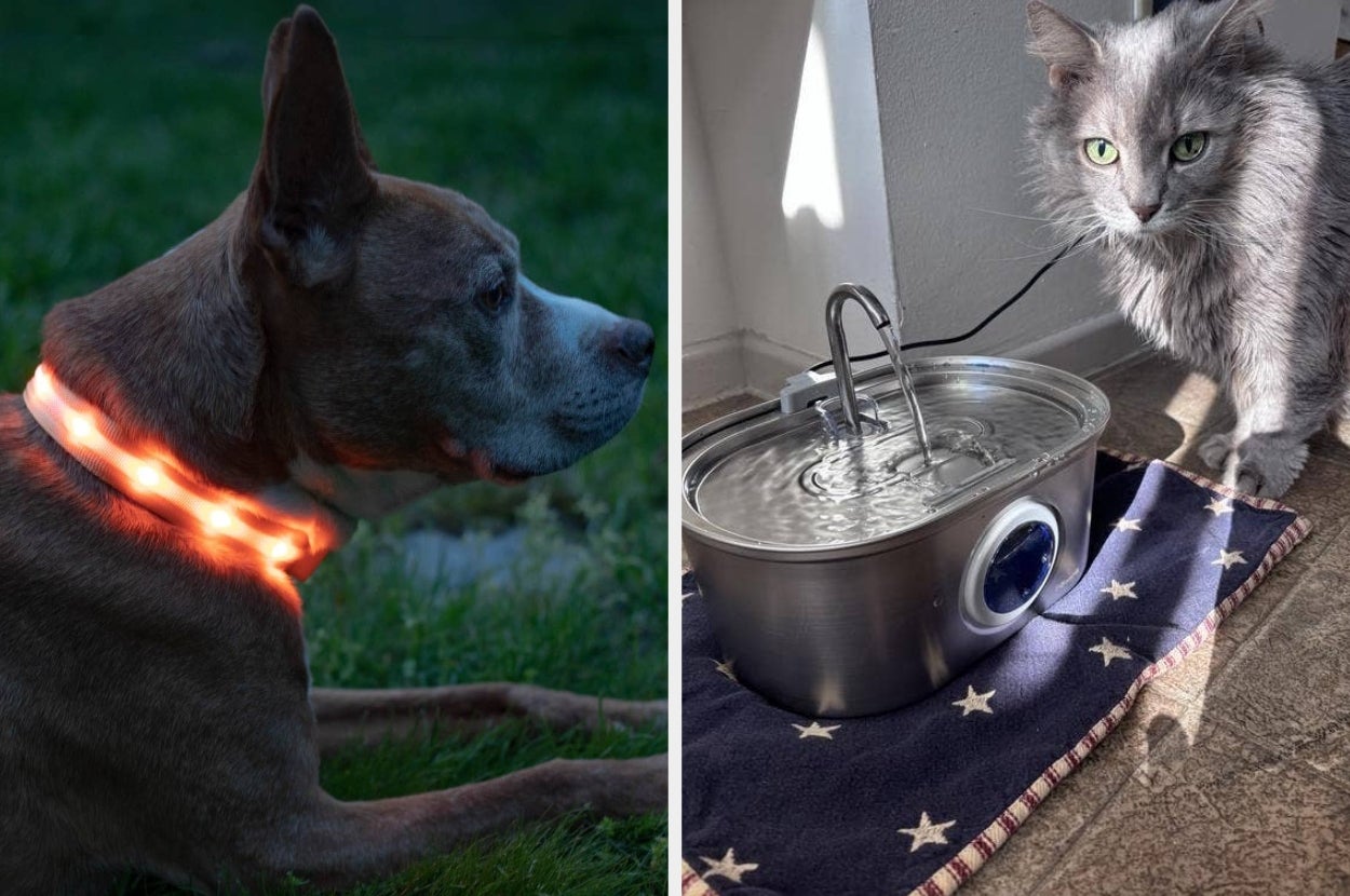 Dog wearing a glowing collar at dusk; cat sits by an electric water fountain on a star-patterned mat, suggesting pet safety and hydration products