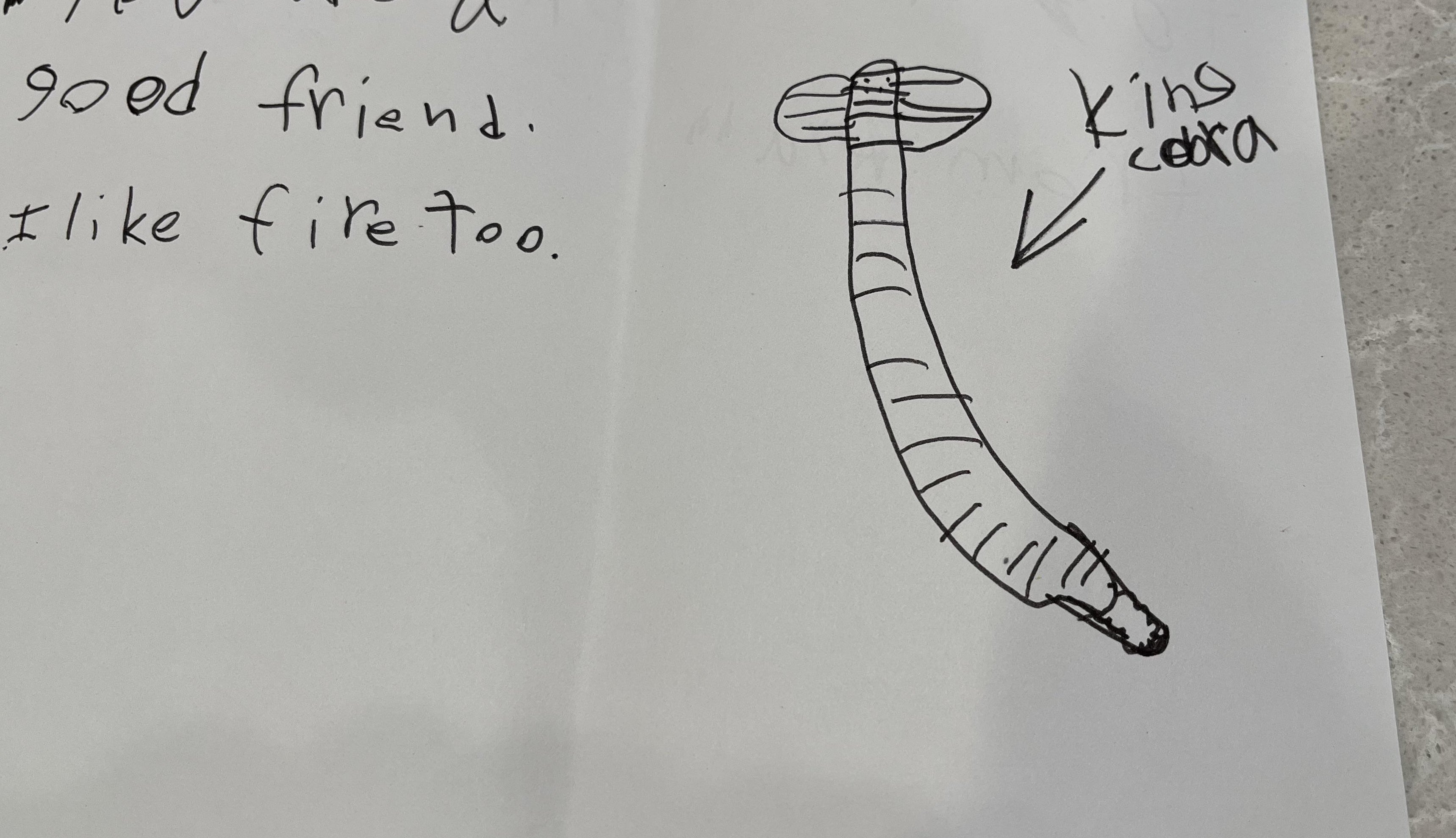  "You are a bully  friend. I similar  occurrence  too." Drawing of a carnal   labeled "King Ghidorah."