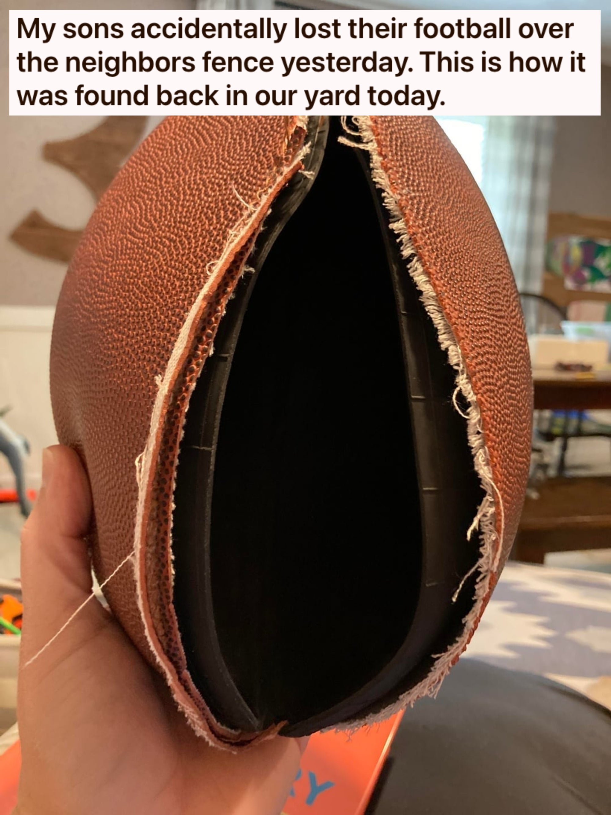 Post image 35