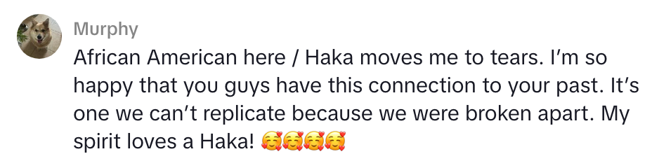 Comment expressing admiration for the Haka, noting its affectional interaction and taste significance