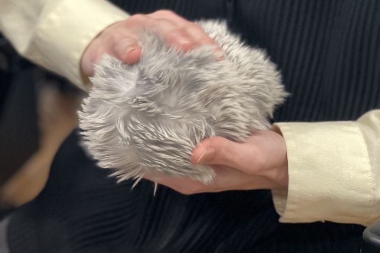 手の中にファーのような物体を持っている。