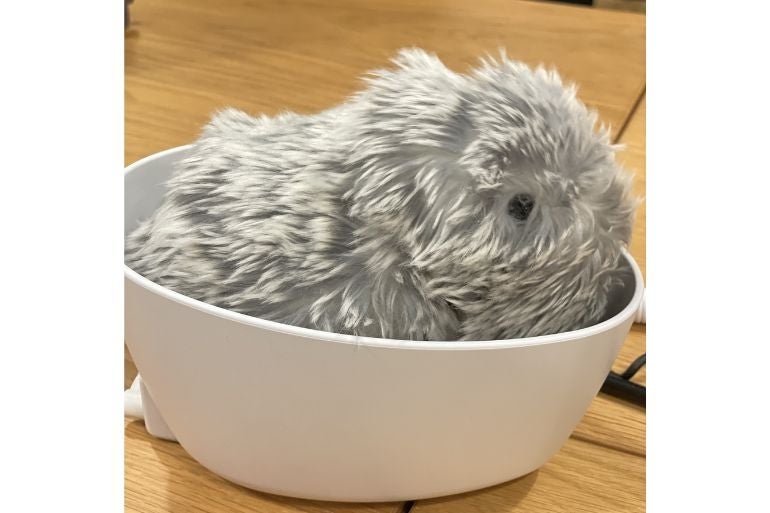 カシオ「モフリン」をレビュー！“6万円ペットロボット”をオフィスに