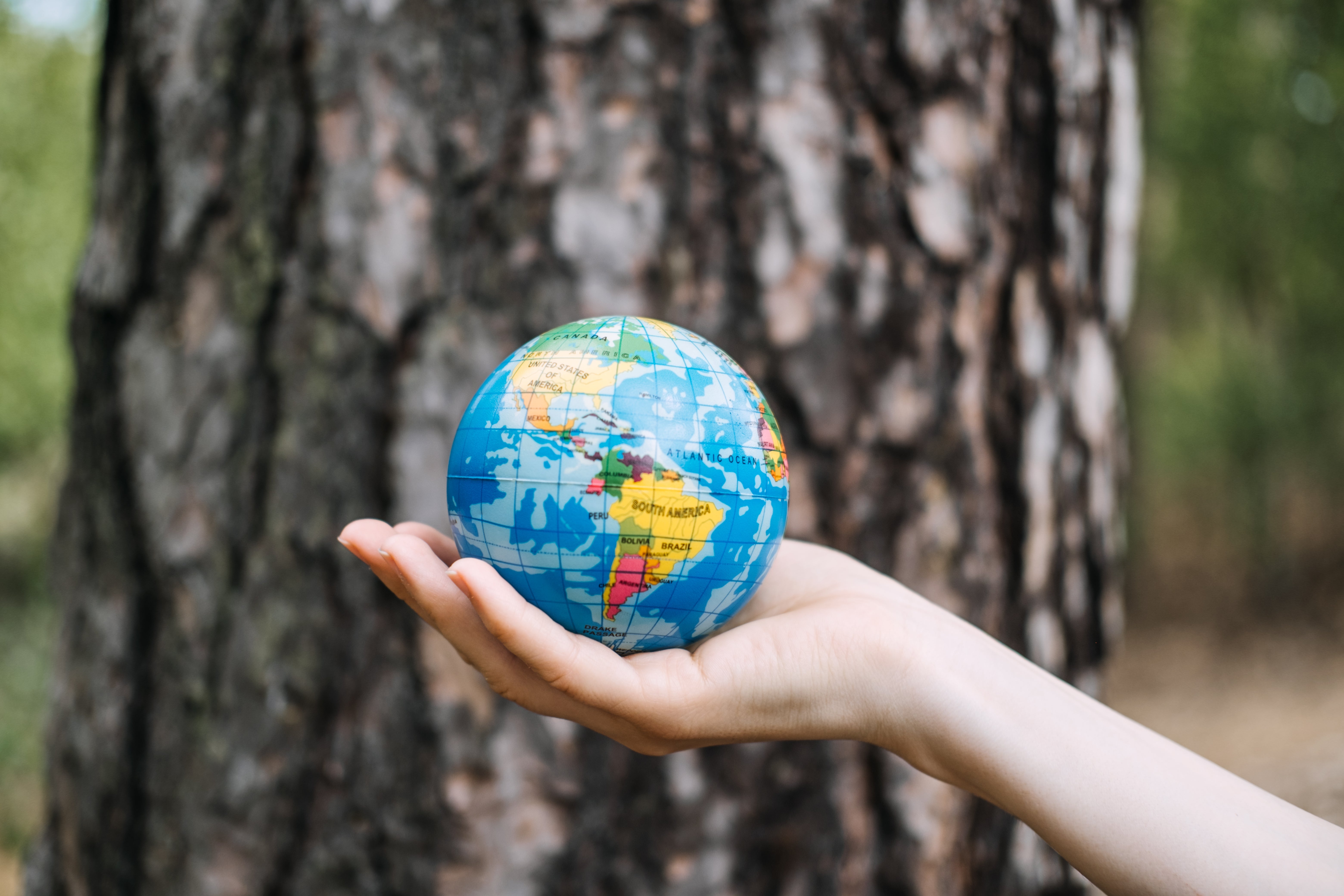 A hand holds a small globe against a blurred tree trunk, emphasizing global gaming themes