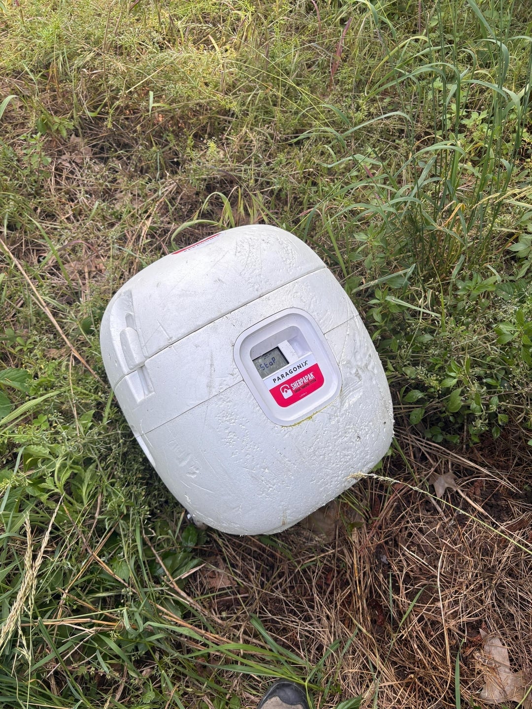 Meteran gas yang lapuk dikelilingi oleh rumput dan tanaman yang ditumbuhi rumput, menunjukkan angka 47.0245