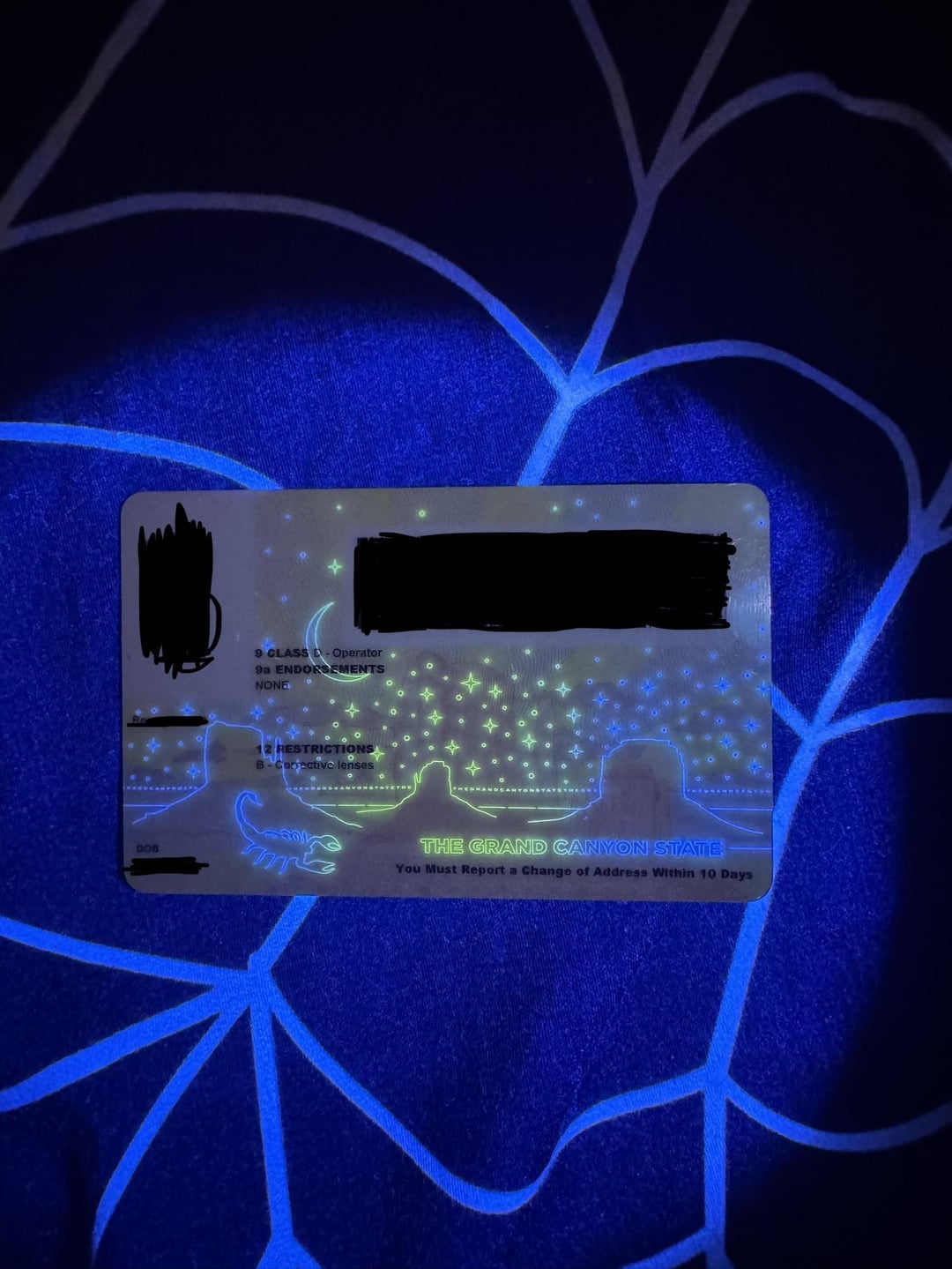 Kartu identitas dengan ilustrasi Grand Canyon di bawah sinar UV, menampilkan bintang dan desain kalajengking. Informasi pribadi dikaburkan demi privasi