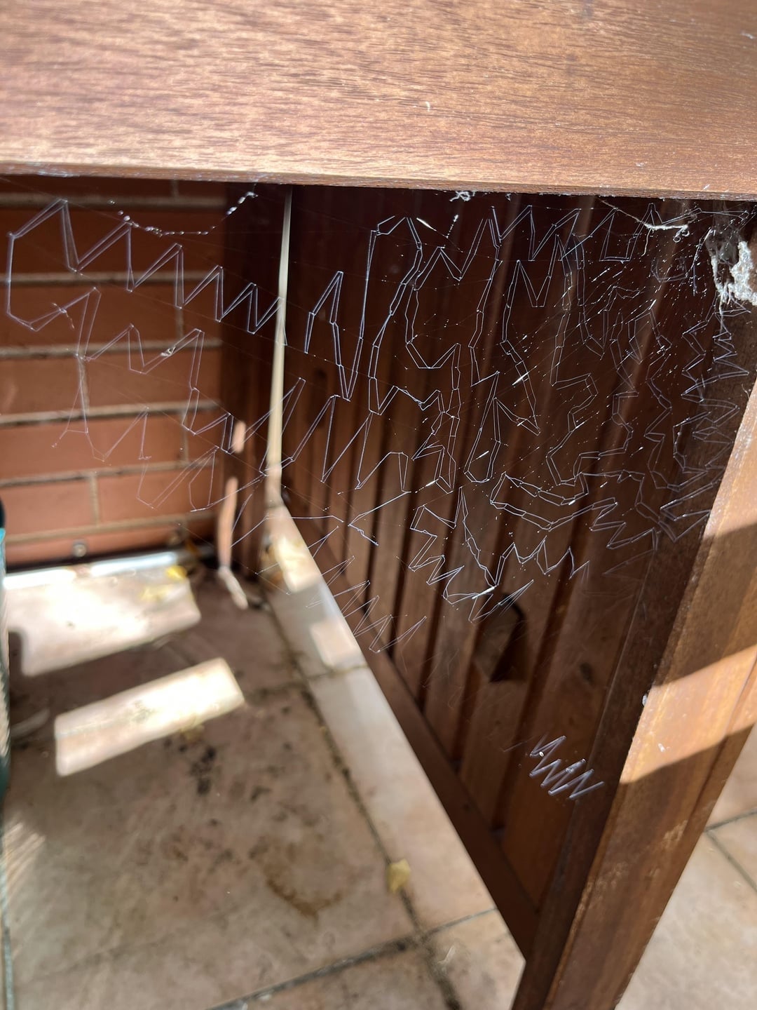 Jaring laba-laba dengan pola geometris di sudut furnitur kayu. Sinar matahari menimbulkan bayangan di lantai keramik