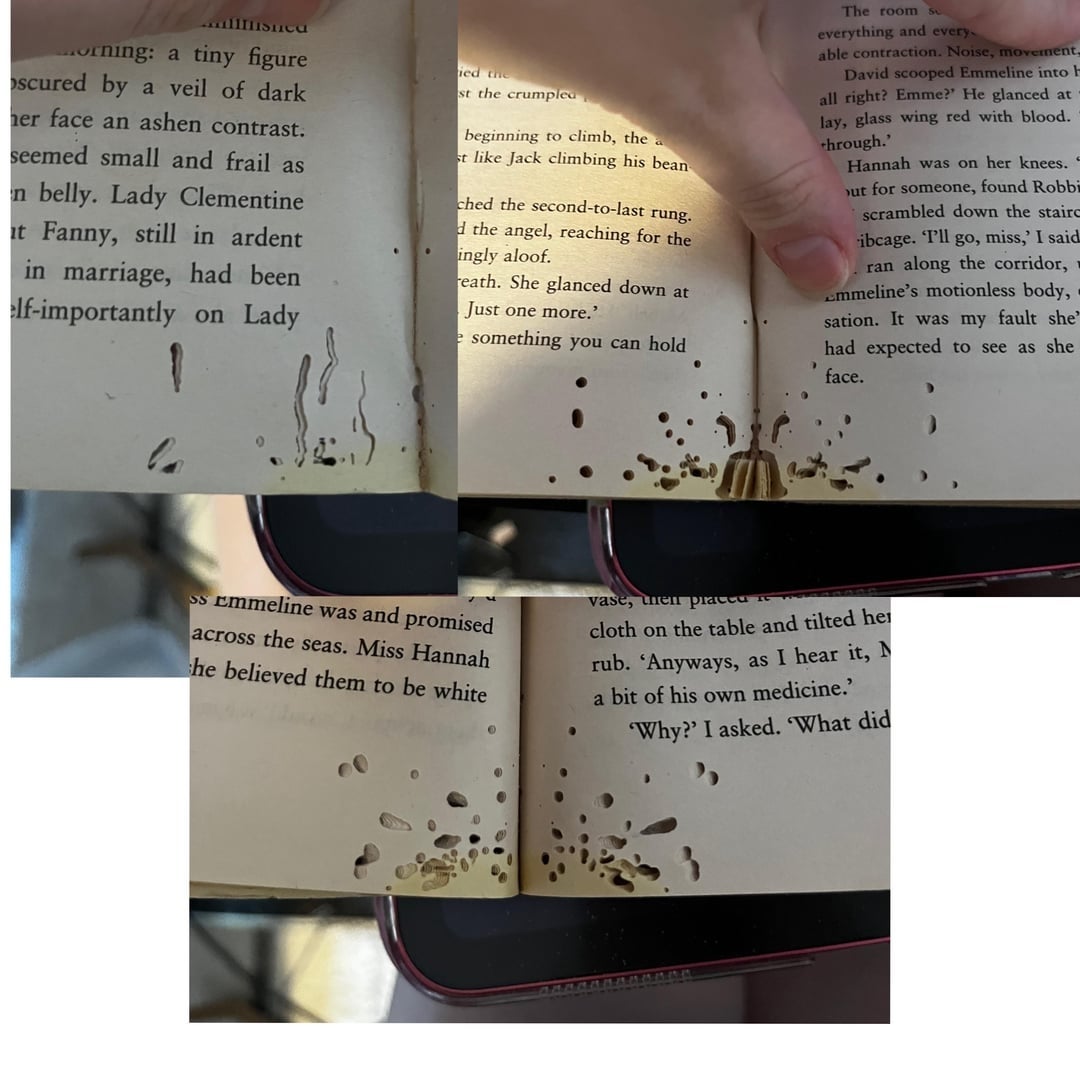 Seseorang memegang sebuah buku terbuka, memperlihatkan beberapa halaman dengan kerusakan air dan lubang berbintik-bintik