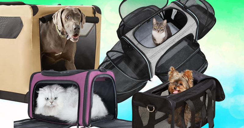 The Best Actually-Comfortable Pet Carriers For Travel