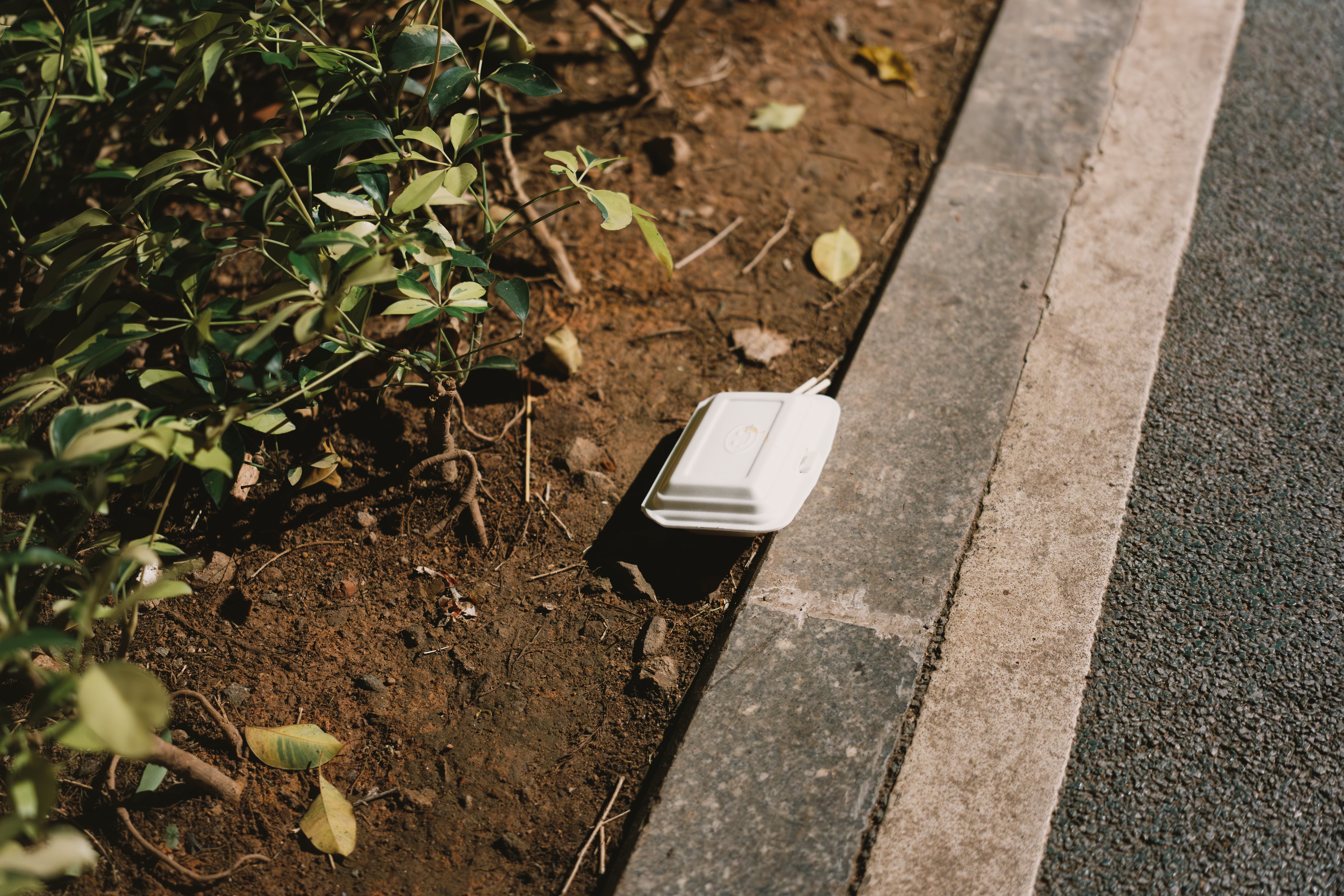 A takeaway instrumentality  is discarded connected  ungraded  adjacent   a sidewalk with scattered leaves astir   it