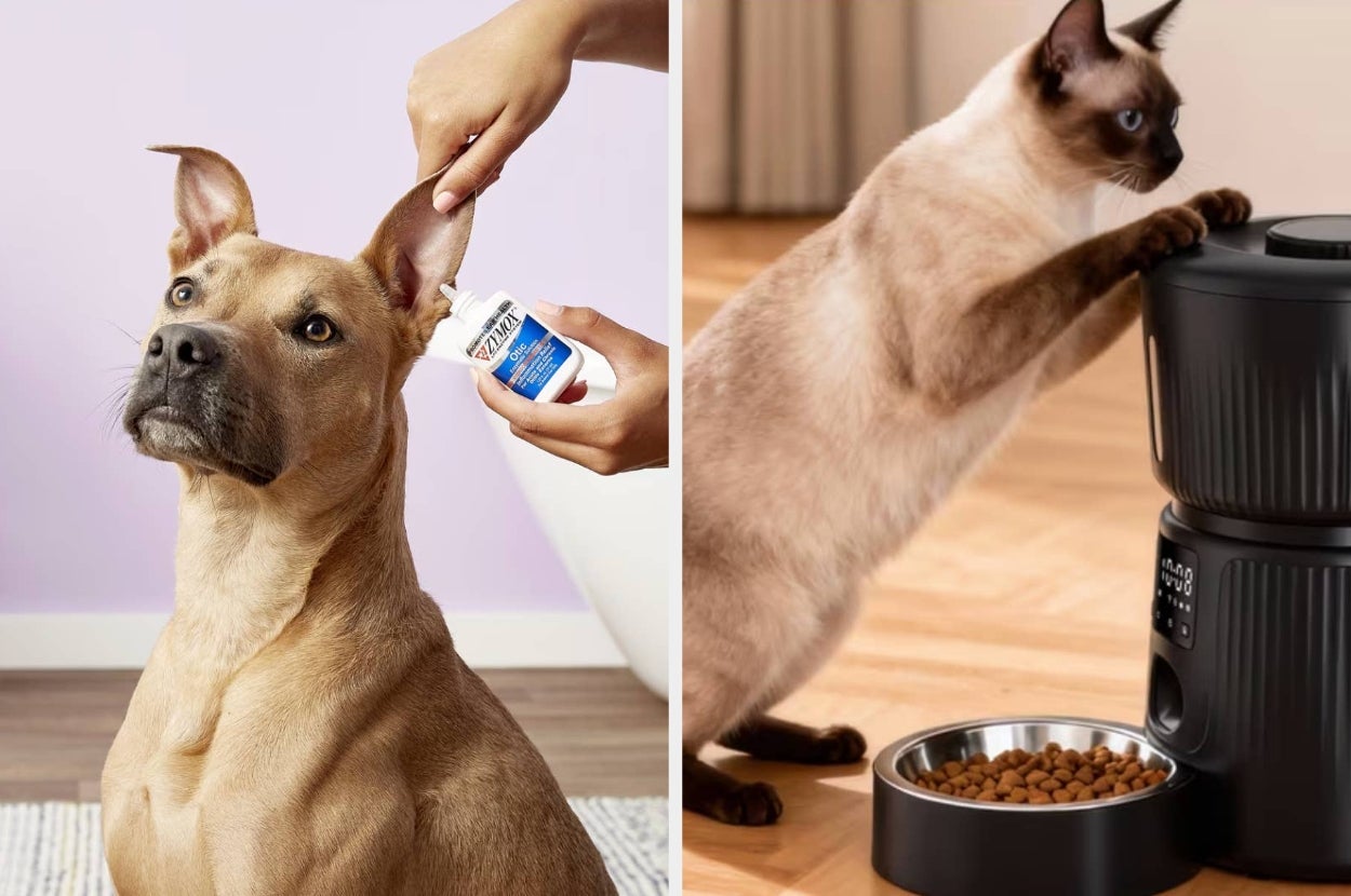 Person applying ear treatment to an attentive dog beside an automatic pet feeder with a curious cat
