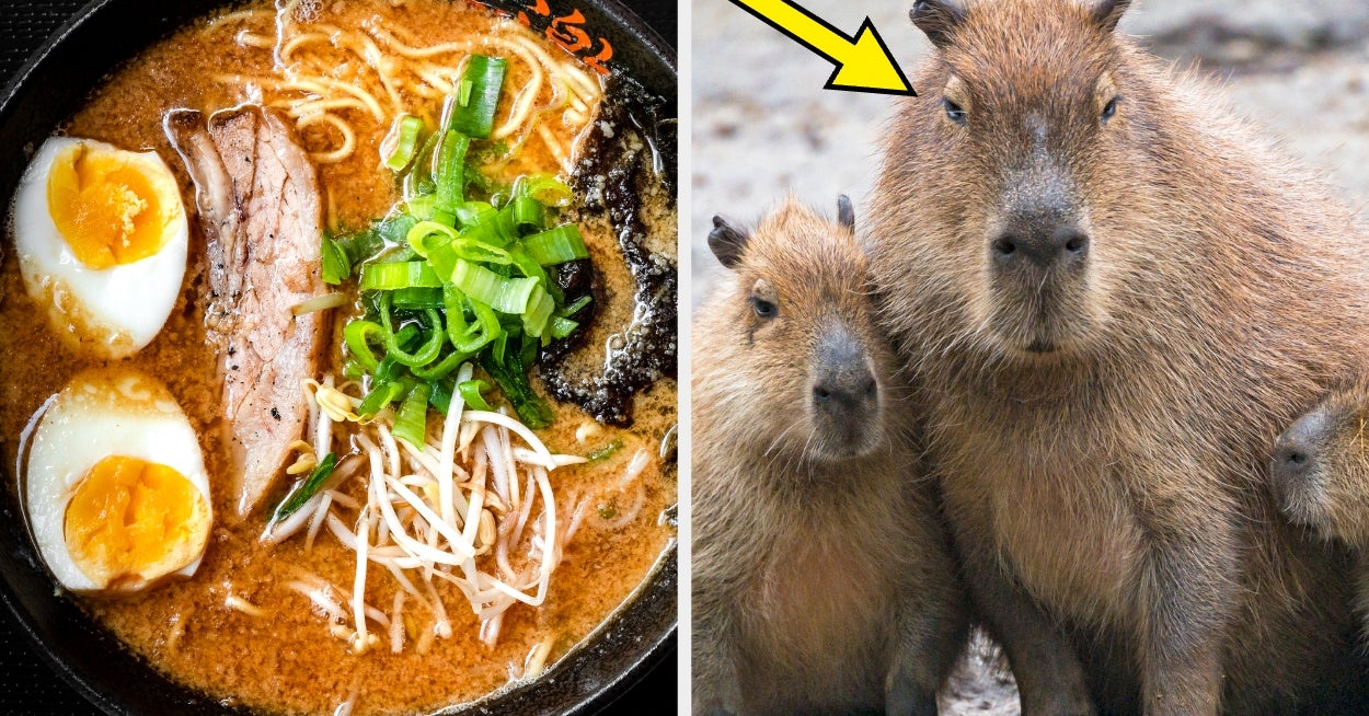 I'll Tell You Which Obscure Spirit Animal You Are After You Build A Ramen Bowl