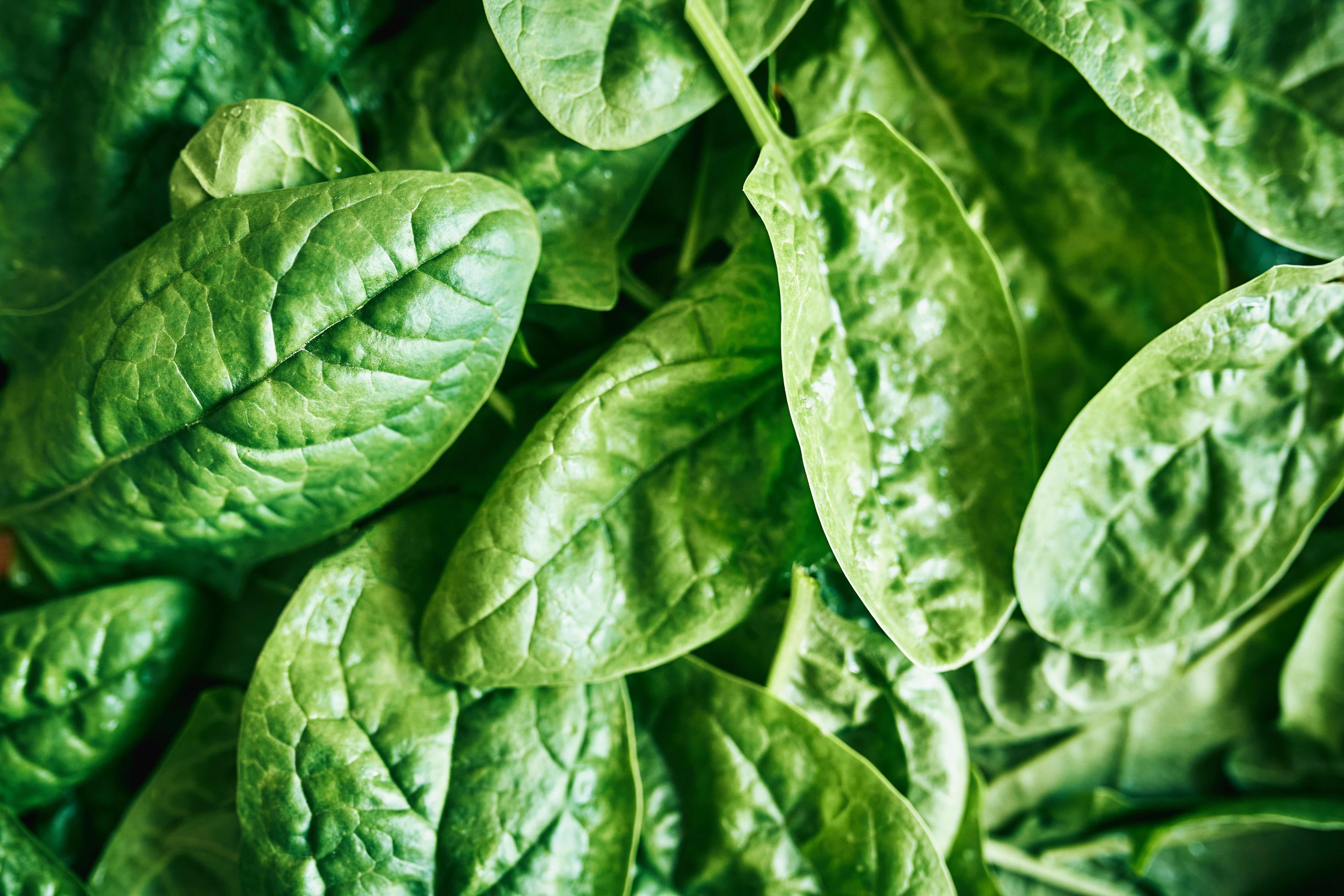 Undiscussed The 1 Undiscussed Illness That Spikes During The Summer, According To ...