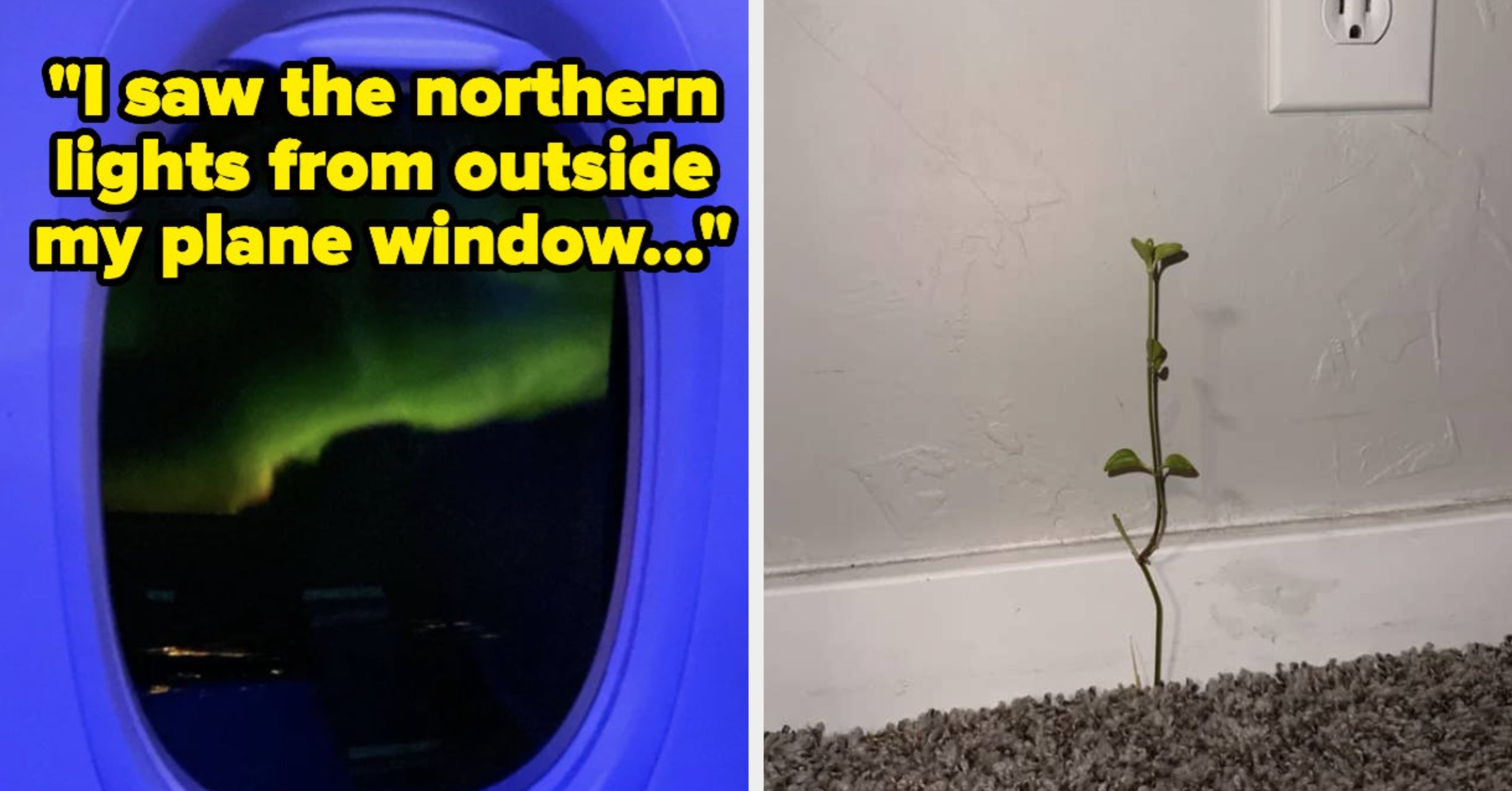 24 Distracting “Out Of The Ordinary” Photos To Shake Up Your Boring Workday