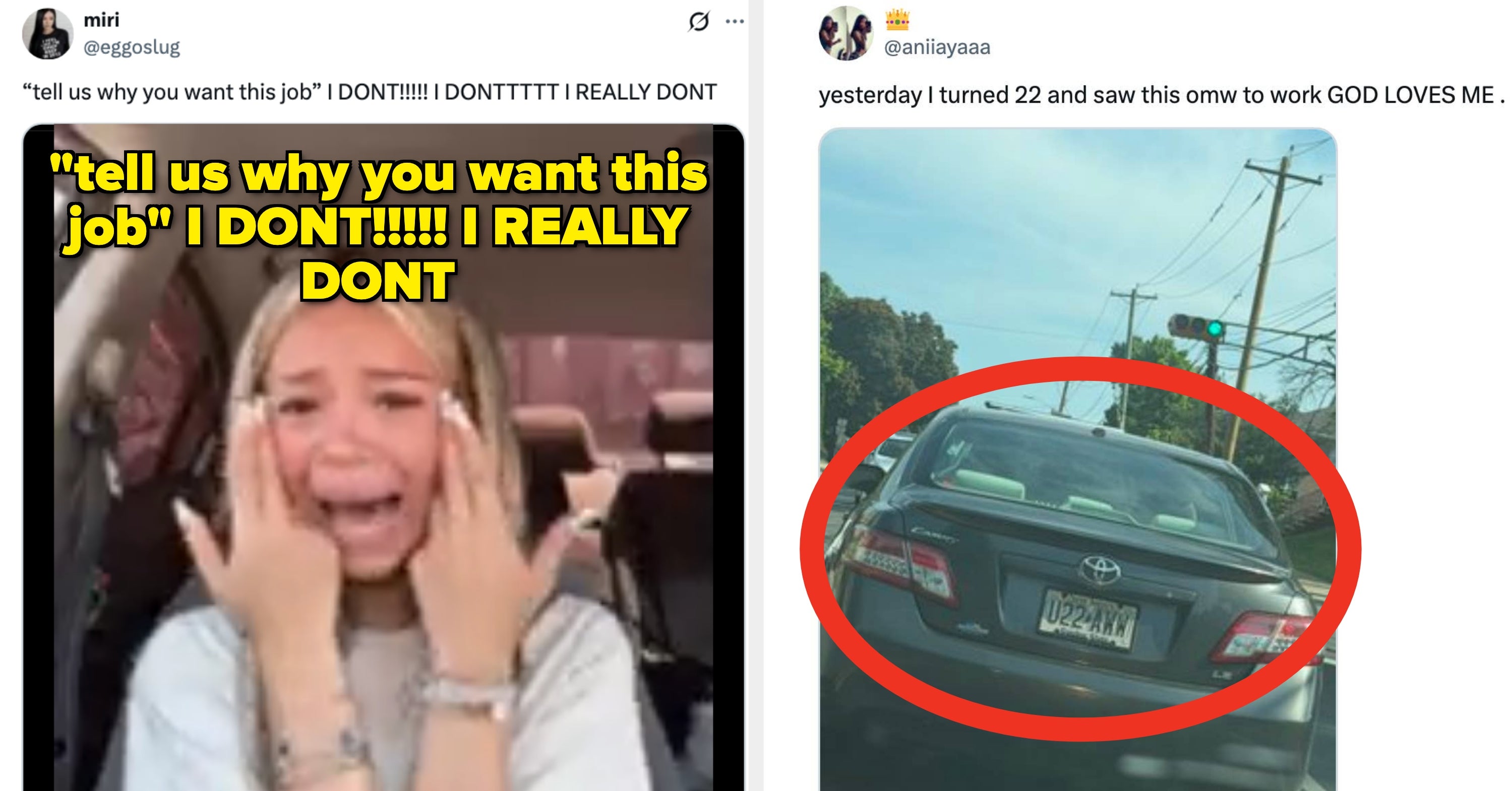 33 Job Tweets That Almost Made Me DIE From Laughing