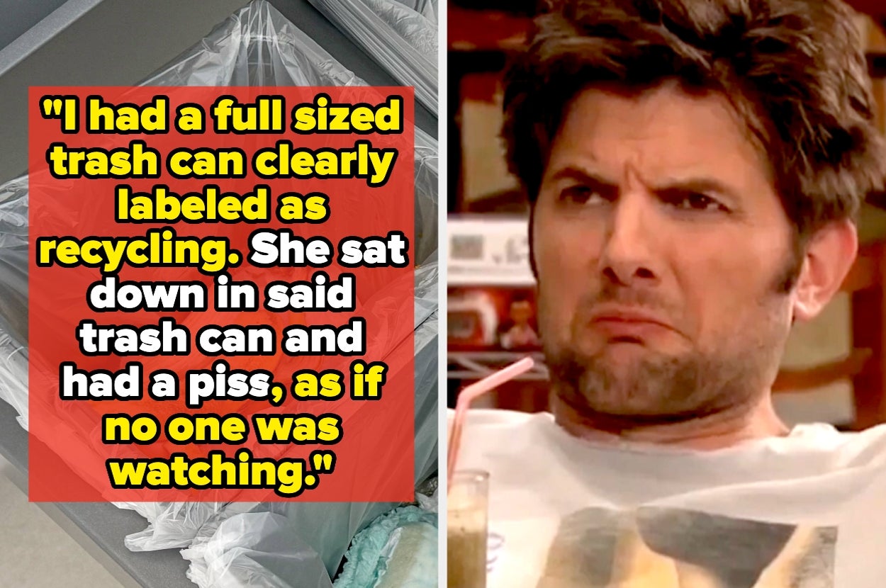 Split screen image with text: "I had a full sized trash can clearly labeled as recycling. She sat down in said trash can and had a piss, as if no one was watching."