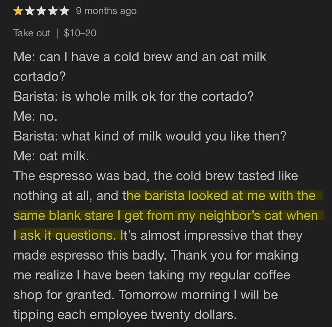 Humorous Yelp reappraisal  of a cafe acquisition   with a barista confused astir  portion  orders, compared to a neighbor’s cat, starring  to a generous tip