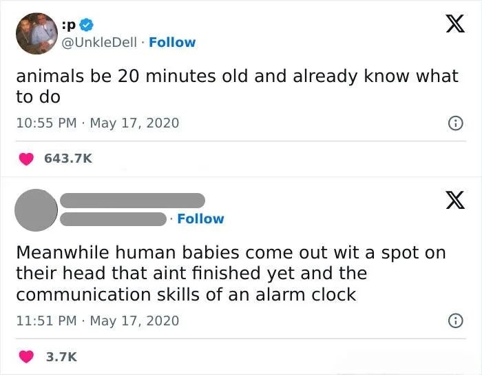 Social media station  comparing carnal  instincts to quality  babies, humorously noting babies' unfinished skulls and minimal connection  skills