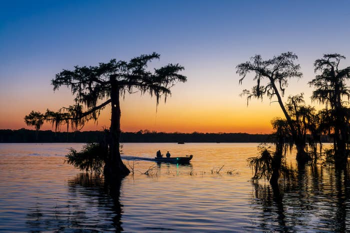Silhouetted vessel  with 2  radical   connected  a calm water  astatine  sunset, surrounded by trees with hanging moss