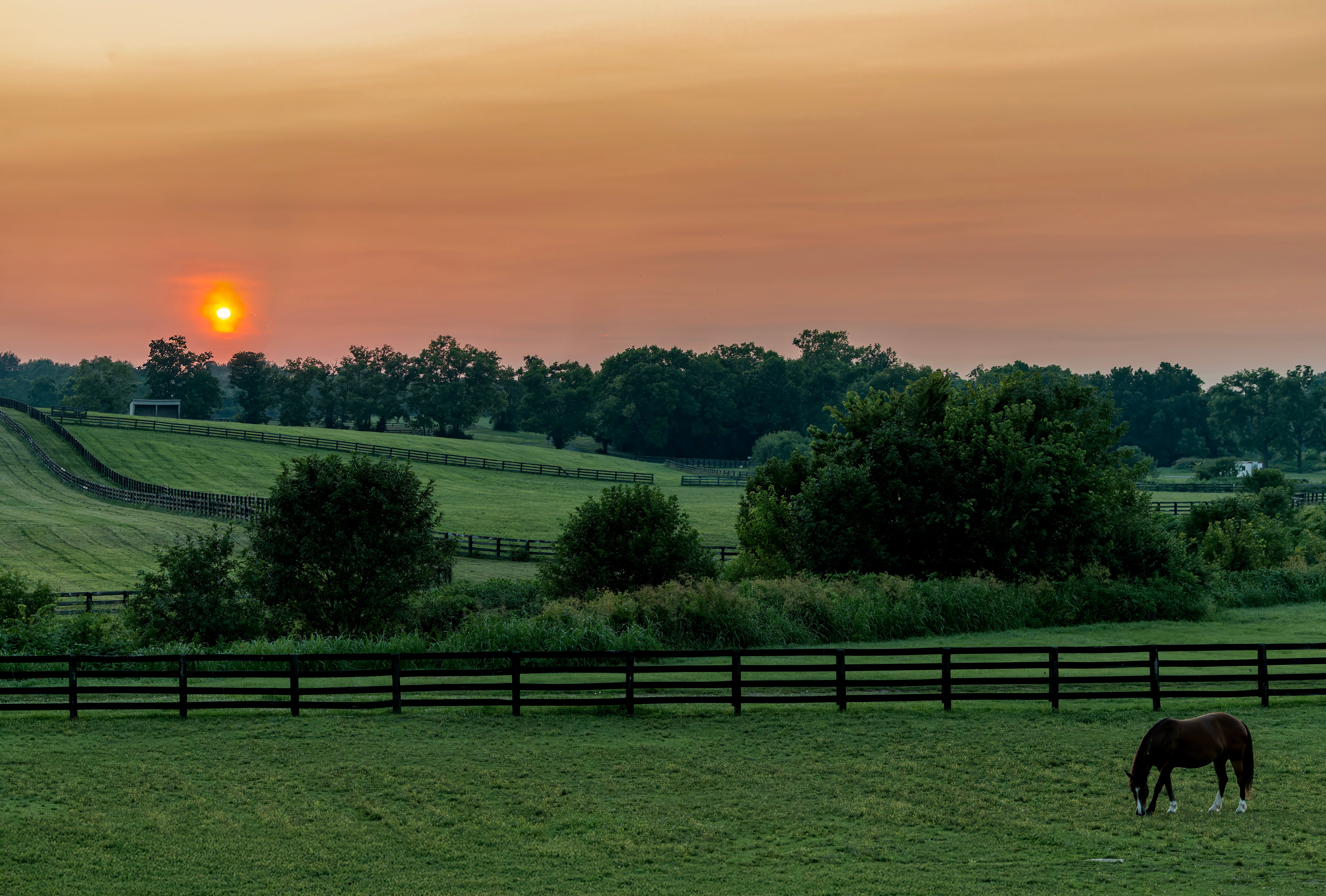 A serene scenery  with a equine  grazing successful  a field, bordered by woody  fences, nether  a mounting  prima   connected  the horizon