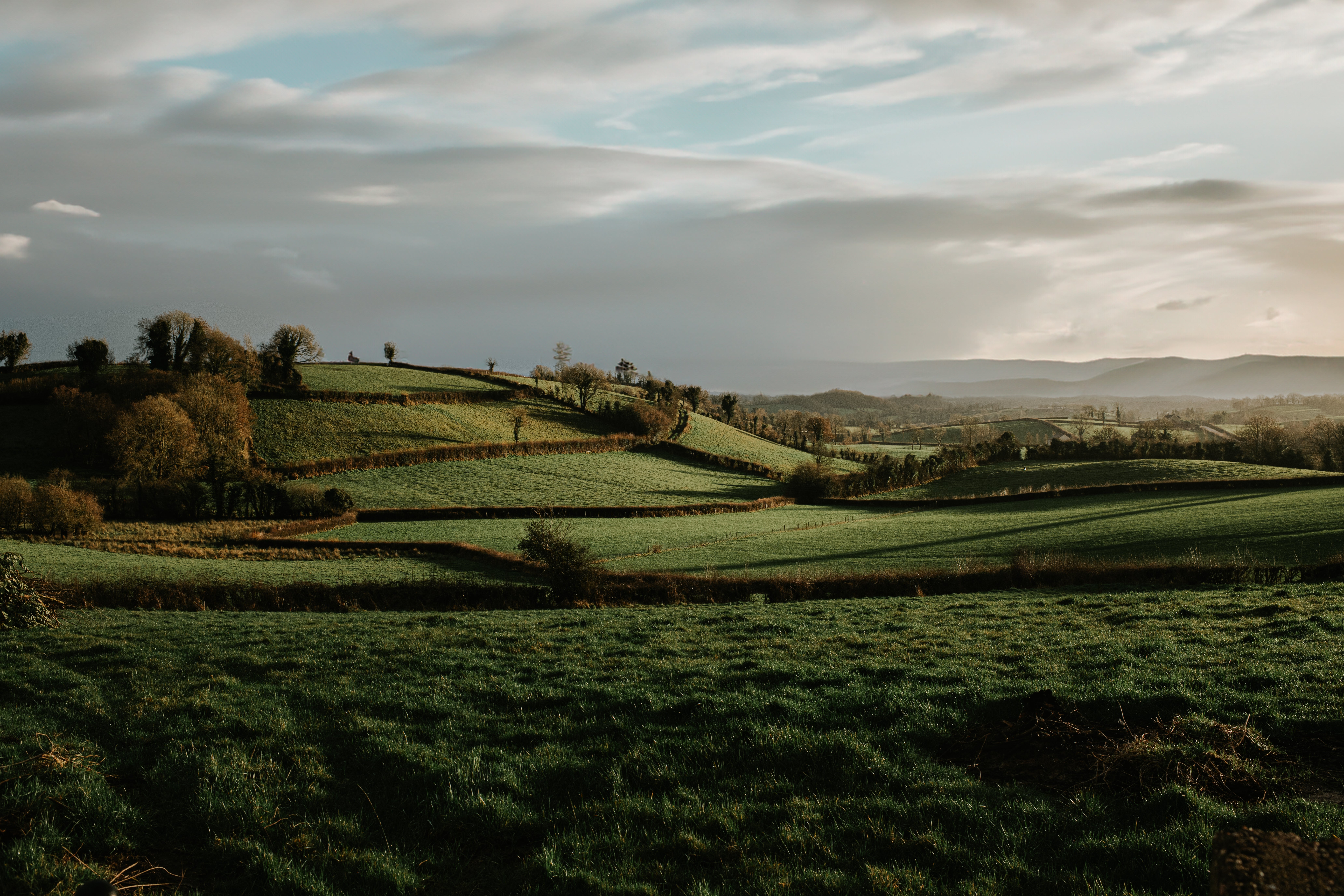 Rolling greenish  hills with scattered trees nether  a partially  cloudy sky, creating a serene landscape