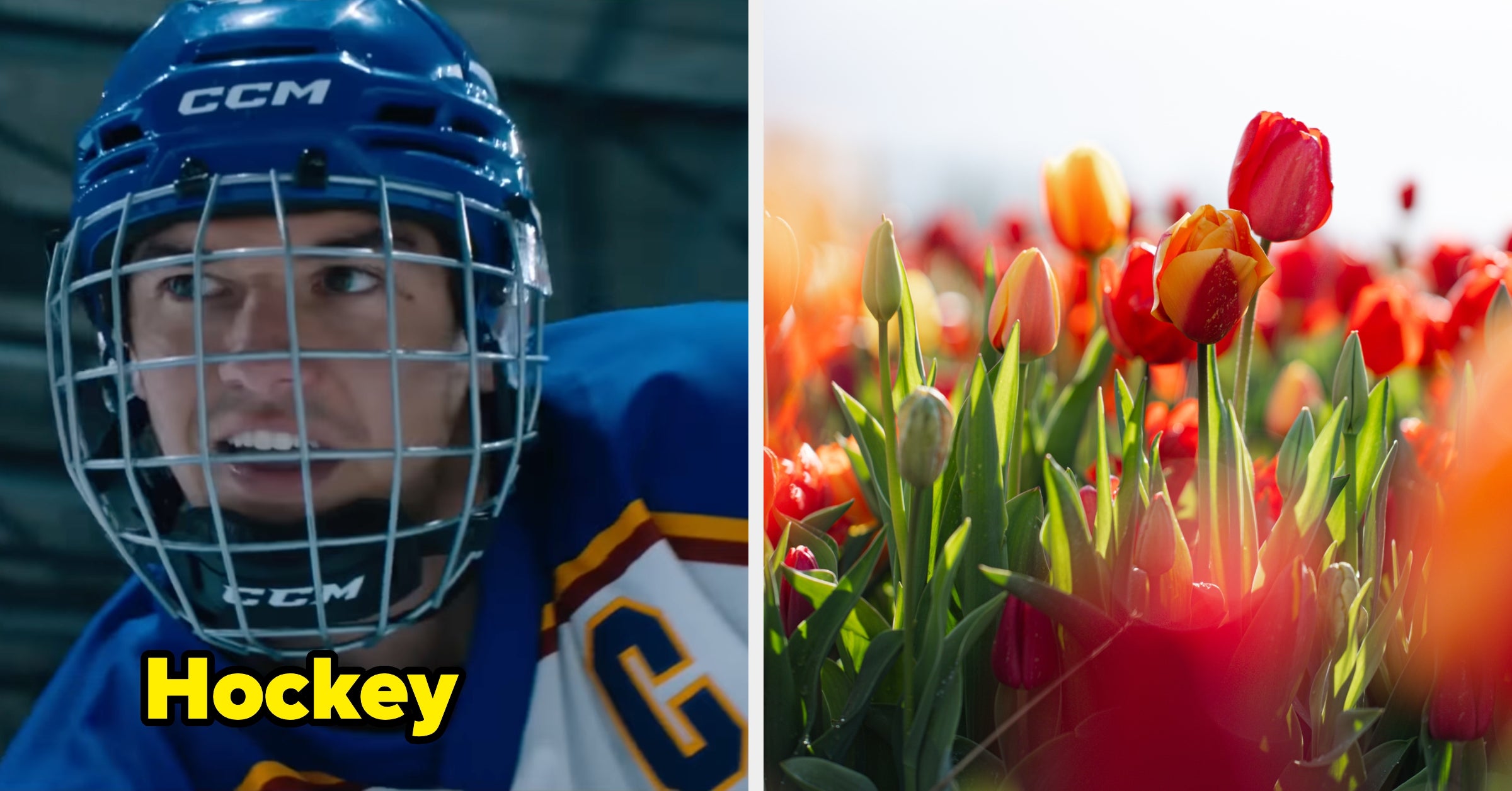 Choose Your Favorite Sports And We'll Reveal Which Season Matches Your Personality