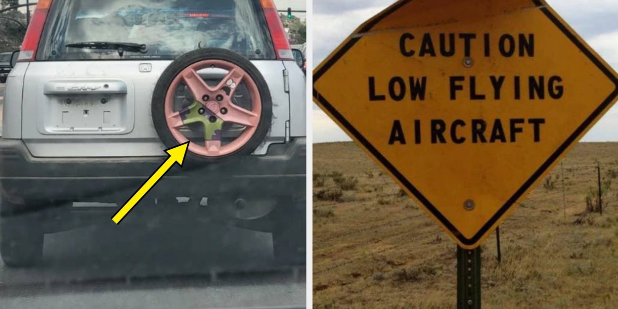 100 Hilarious Photos To Brighten Your Day
