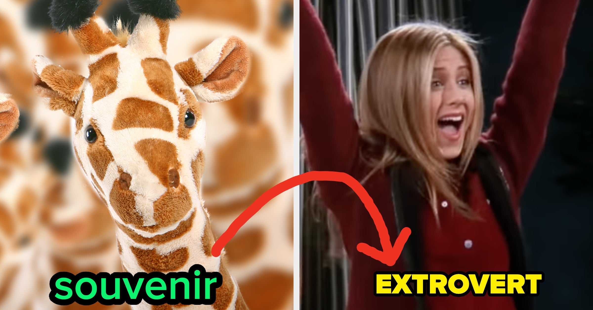 Create Your Perfect Zoo And We'll Reveal Whether You're More Introverted, Extroverted, Or Right In The Middle
