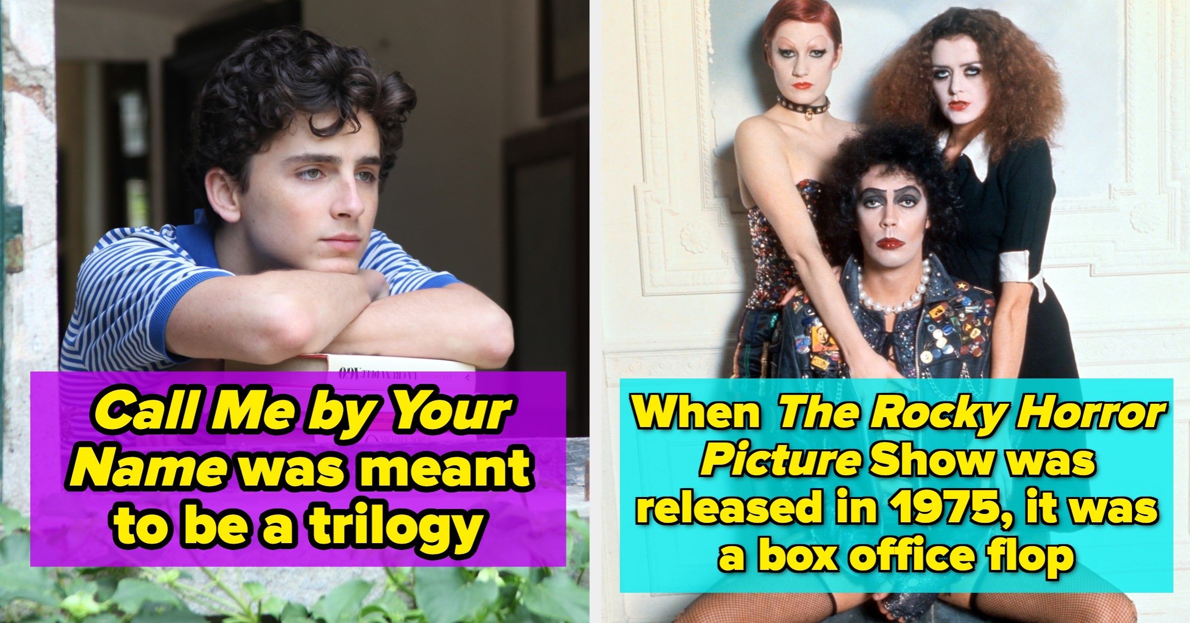 From "The Rocky Horror Picture Show" To "Bottoms," Here Are 15 Fascinating Facts About LGBTQ+ Movies And Queer Cult Classics That Shaped Pop Culture