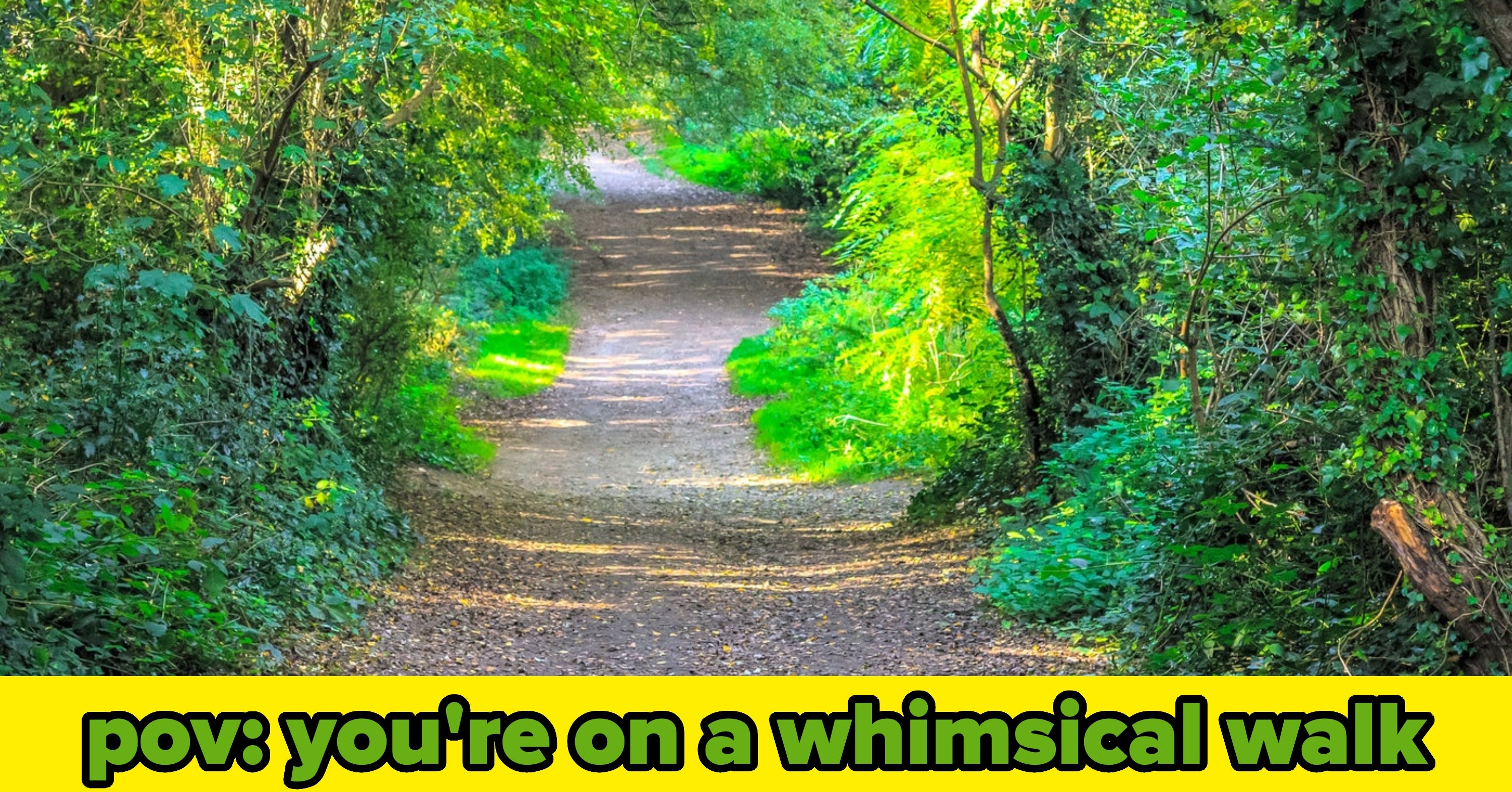Make A Choice For All 30 Minutes Of A Walk And I'll Reveal How Whimsical You Are