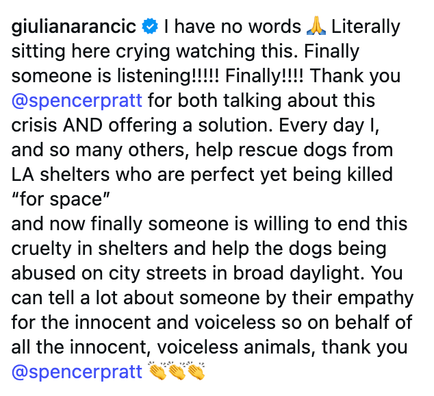 The station expresses gratitude for radical discussing and taking enactment to assistance rescue dogs from shelters, highlighting efforts to halt carnal cruelty