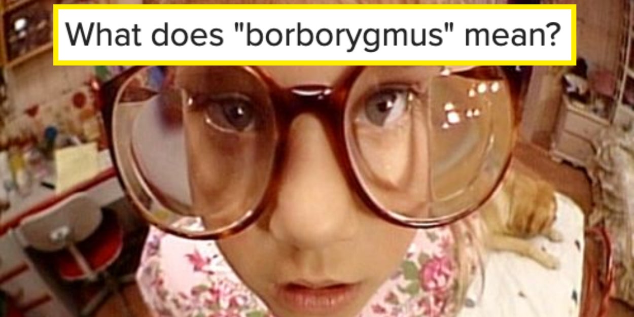 Sorry, I Am, But Only People With A Stellar Vocabulary Can Define These Obscure Words