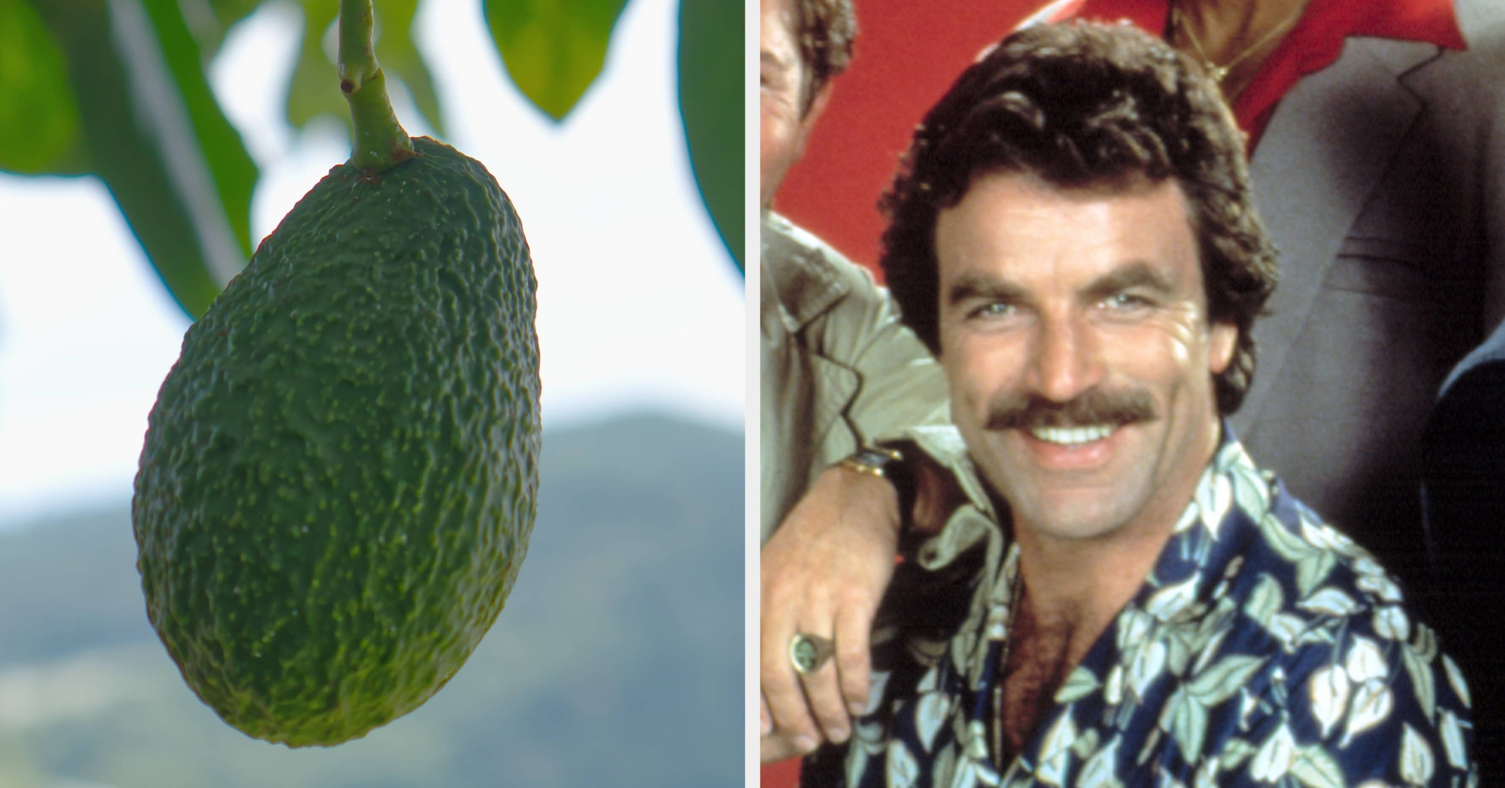These Famous People Have Surprising Second Jobs, A