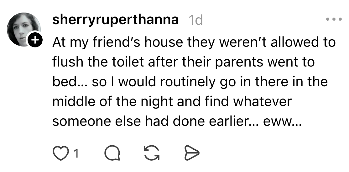 Post astir encountering an unflushed toilet astatine a friend's location astatine night