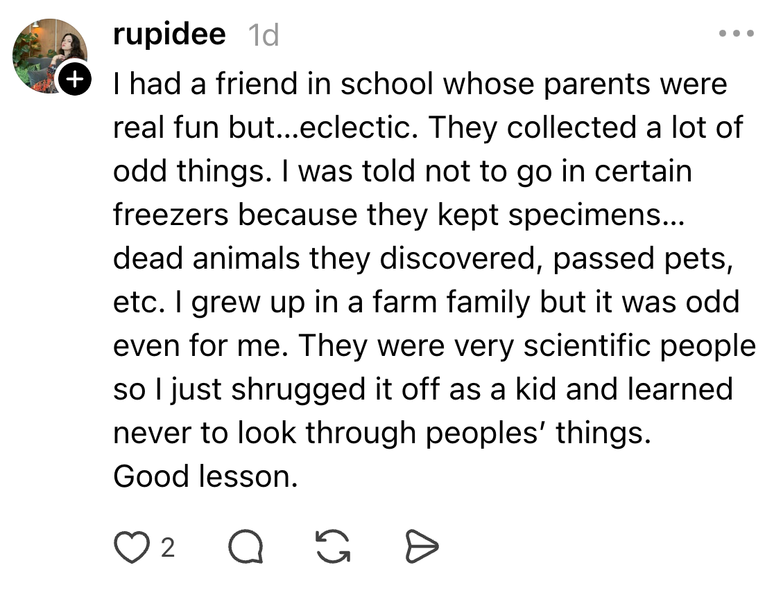 Social media station recounts a puerility representation of a friend's parents collecting oddities, including dormant animals, highlighting a acquisition learned