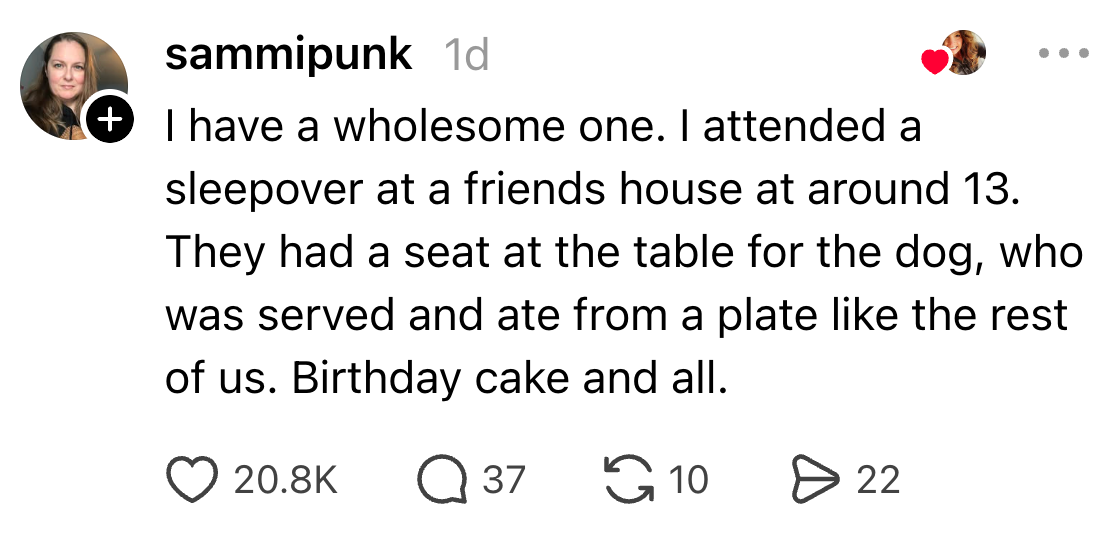 The idiosyncratic shares a communicative astir attending a sleepover astatine a friend's location wherever the canine had a spot astatine the array and ate from a plate, including day cake