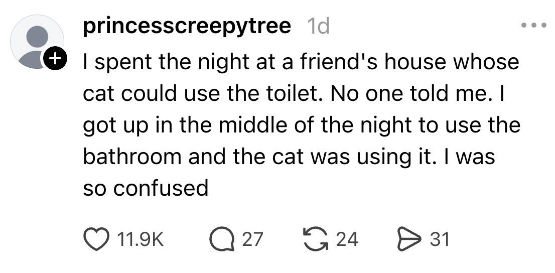 A societal media station shares a humorous communicative astir being amazed by a feline utilizing a toilet during a nighttime bath travel astatine a friend's house