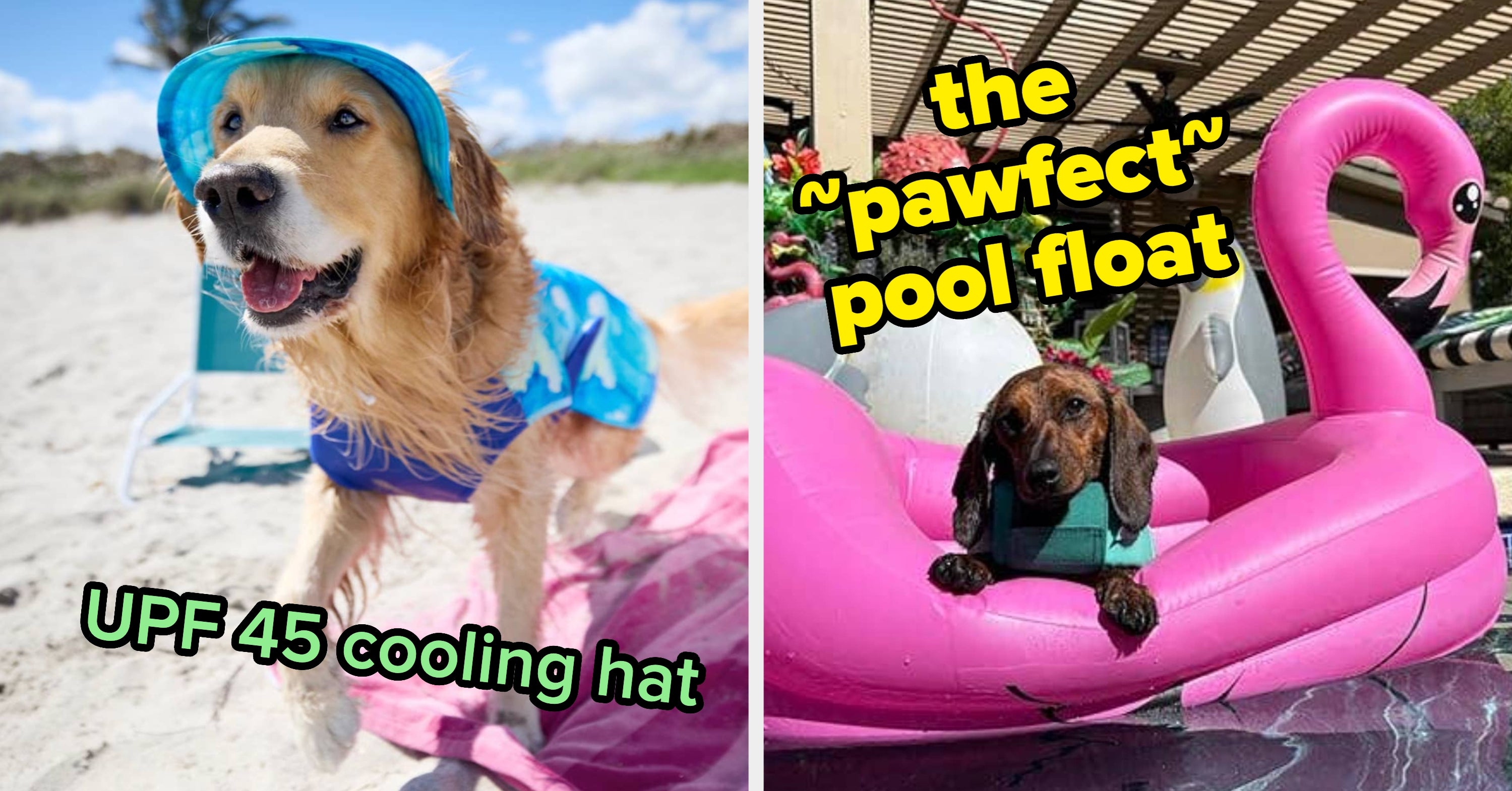 29 Products And Toys To Keep Your Pup Cool And Happy All Summer Long
