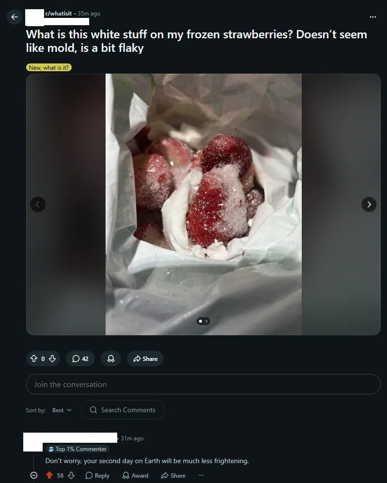 Image showing a societal  media station  asking astir  achromatic  flaky substance   connected  frozen strawberries. Top remark  humorously suggests an alien's presumption    of Earth